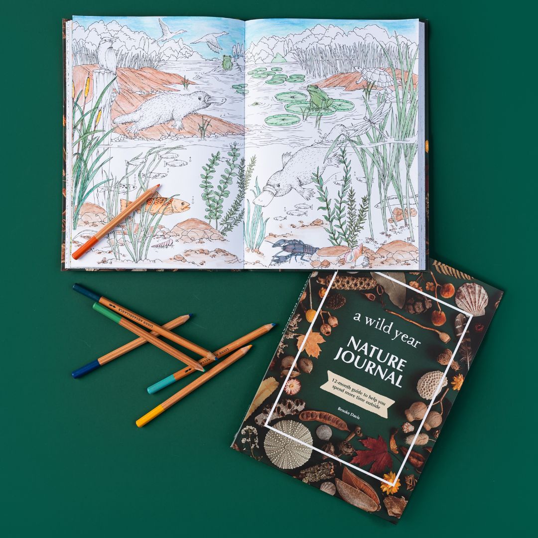 Journals Wholesale Bundle