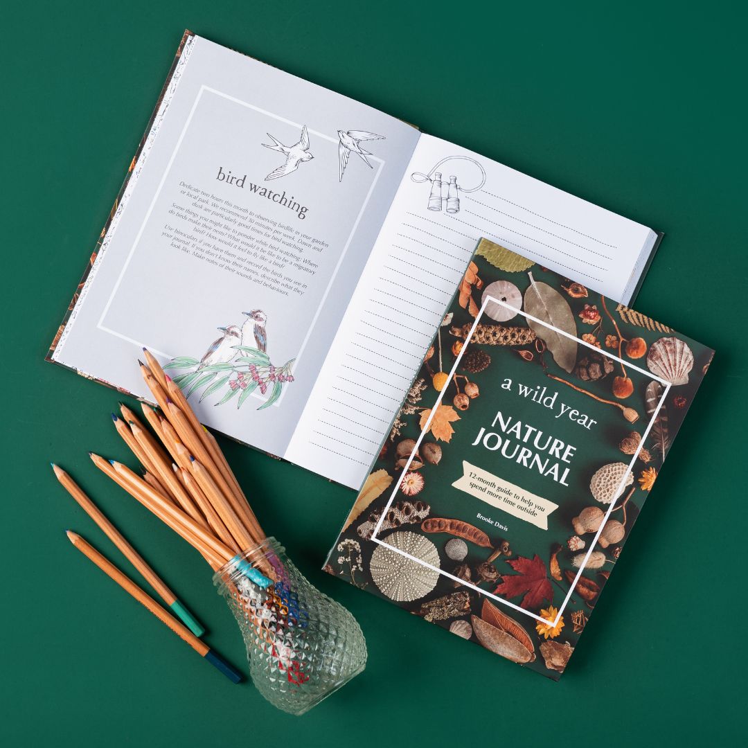 Journals Wholesale Bundle
