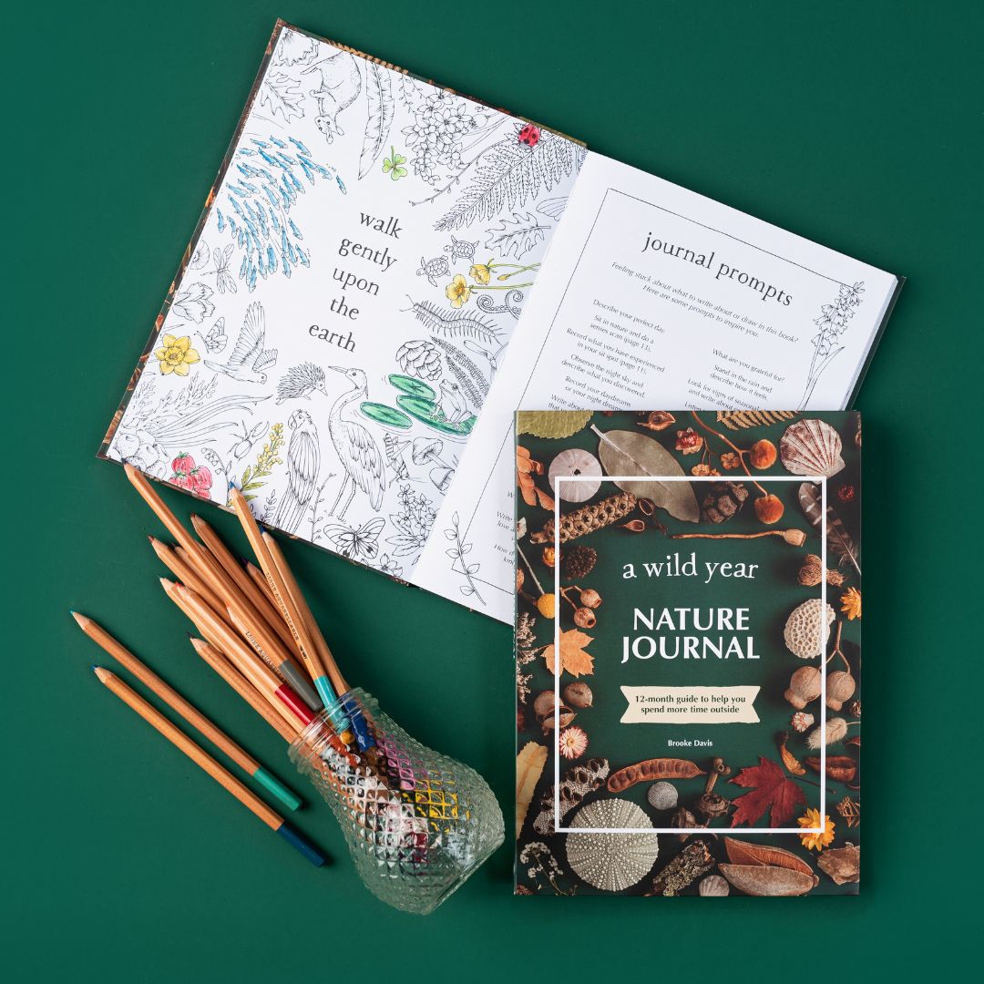 Journals Wholesale Bundle