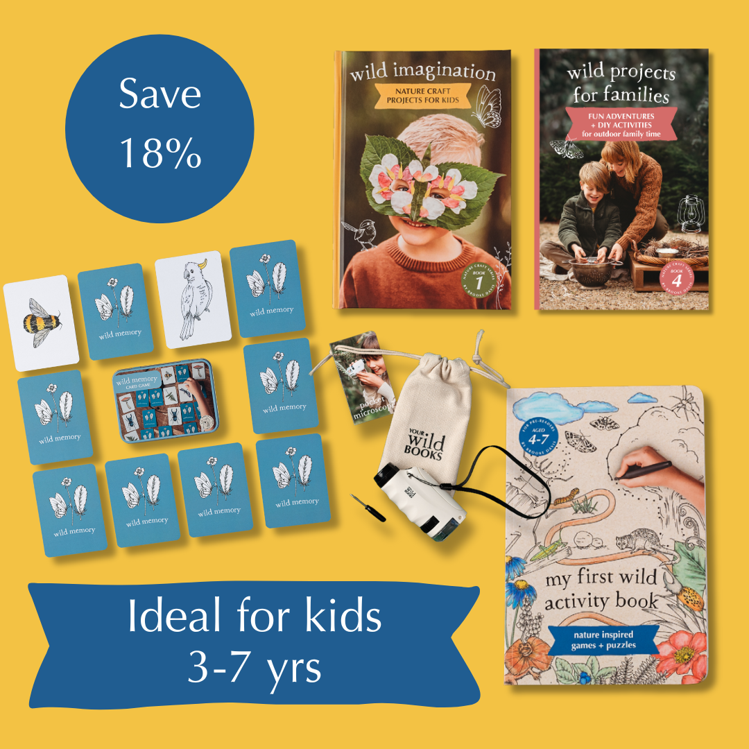 Early Years Homeschool Bundle