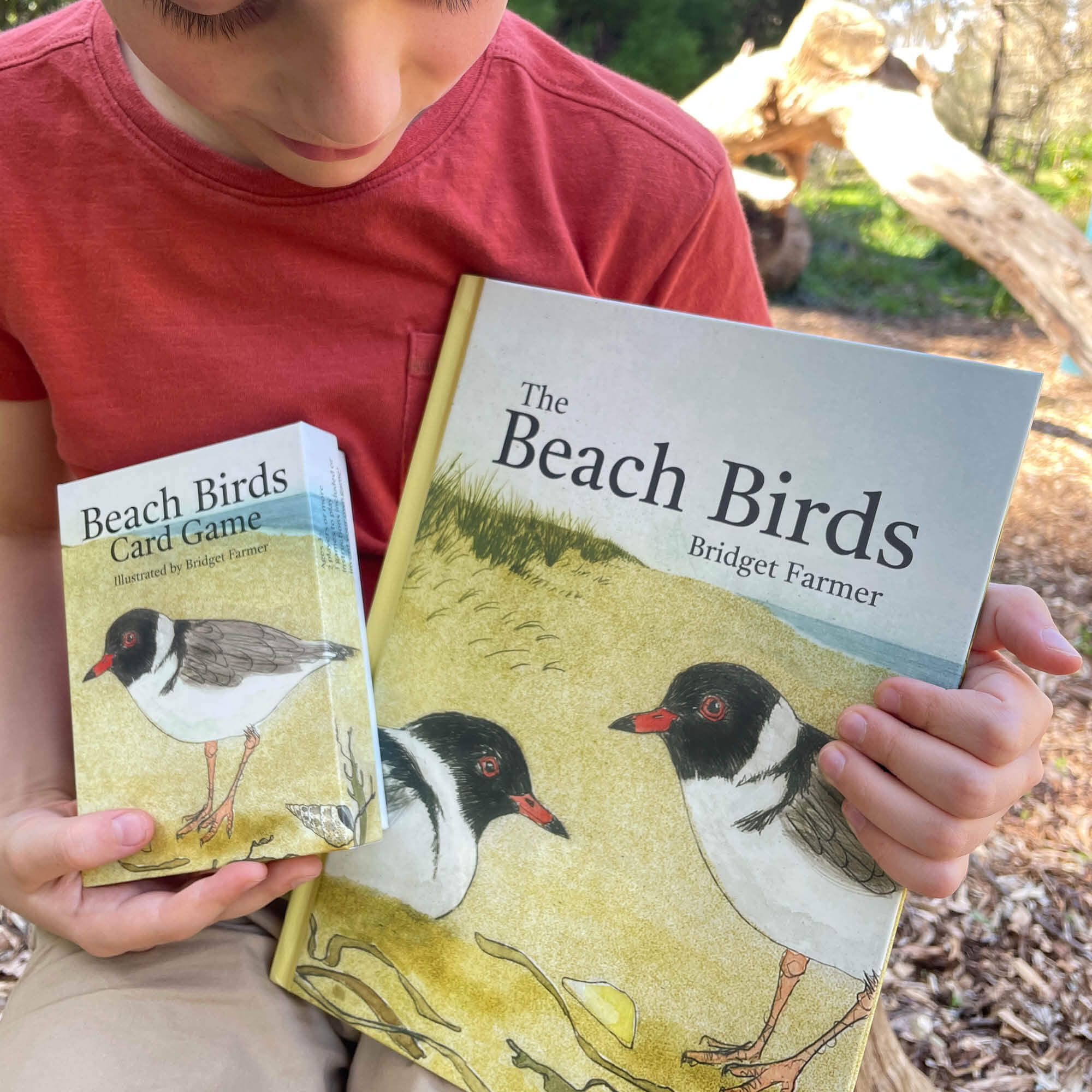 The Beach Birds Book + Card Game