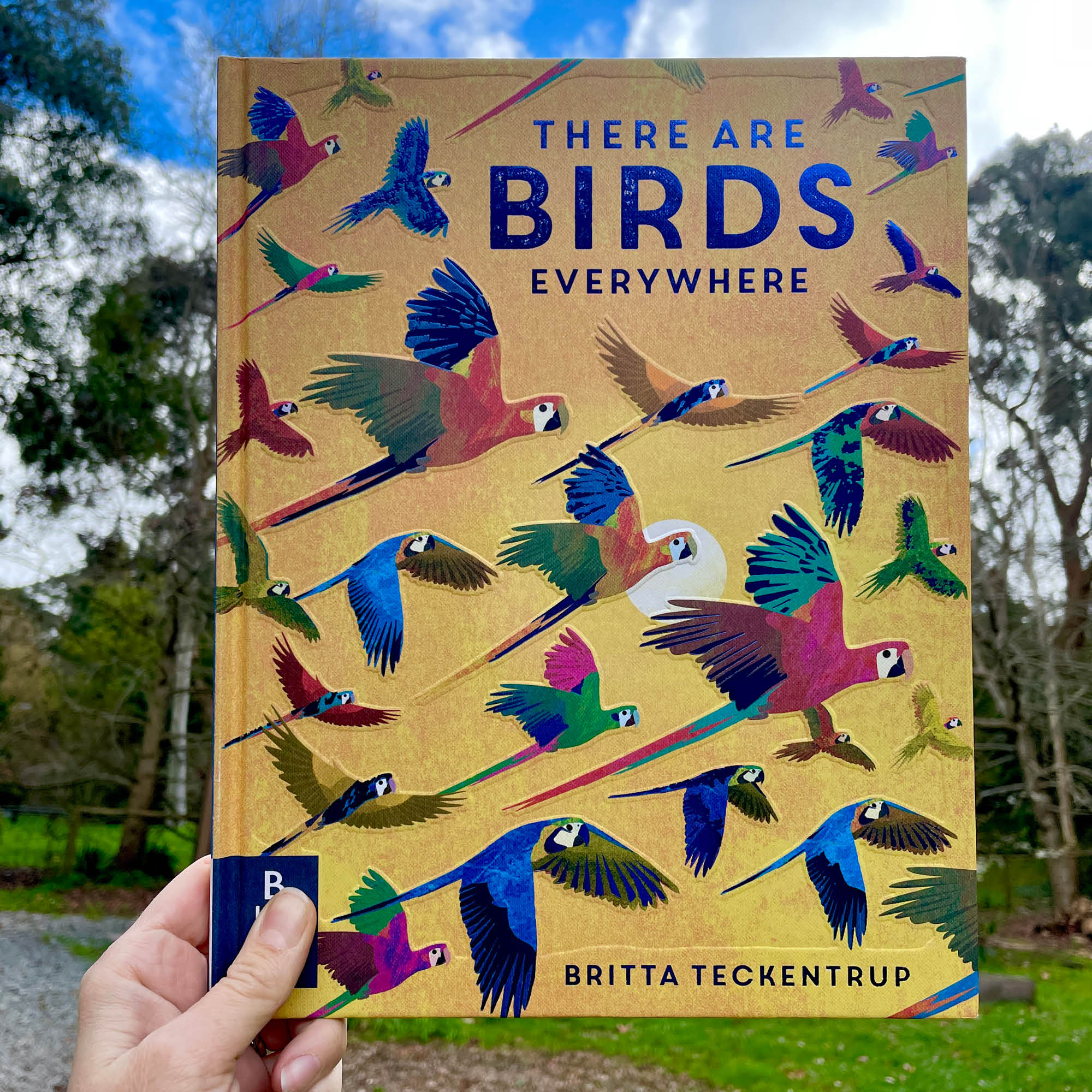 There are Birds Everywhere Book
