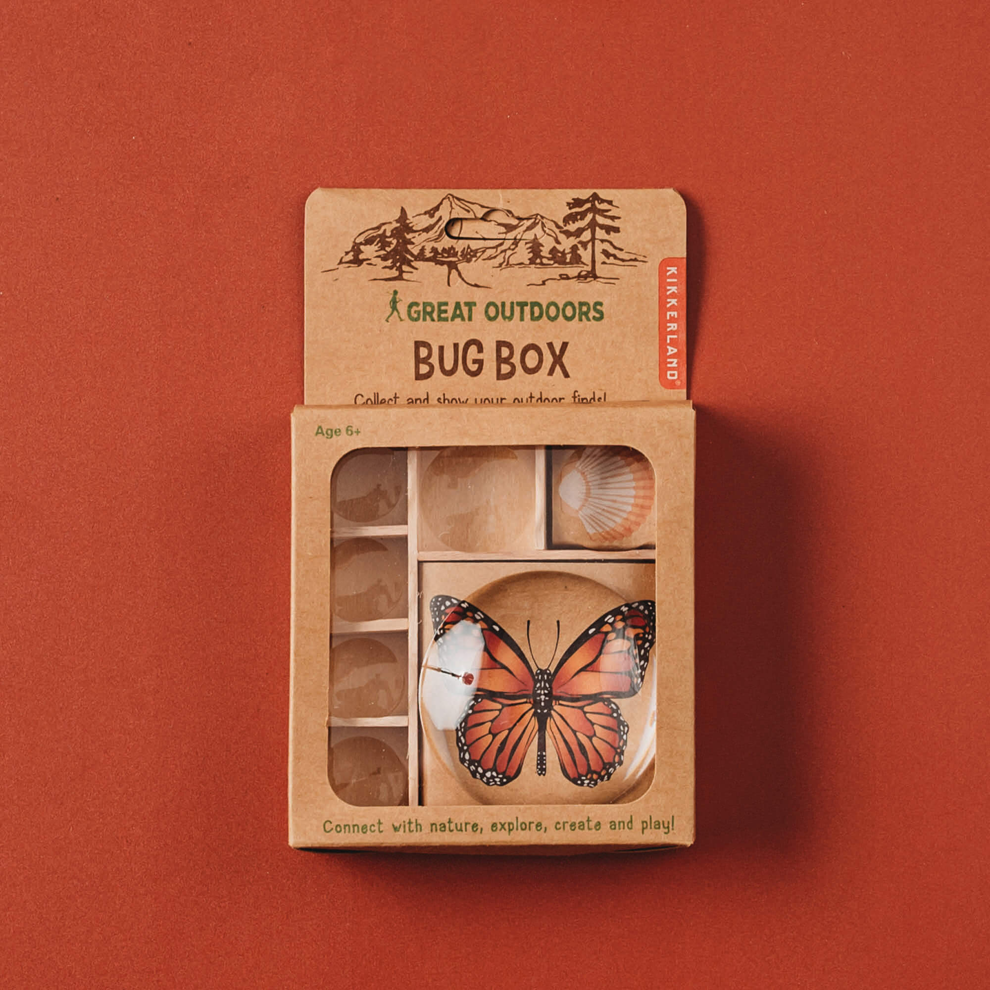 Storage for nature finds. Wooden bug box make by Kikkerland from Your Wild Books.