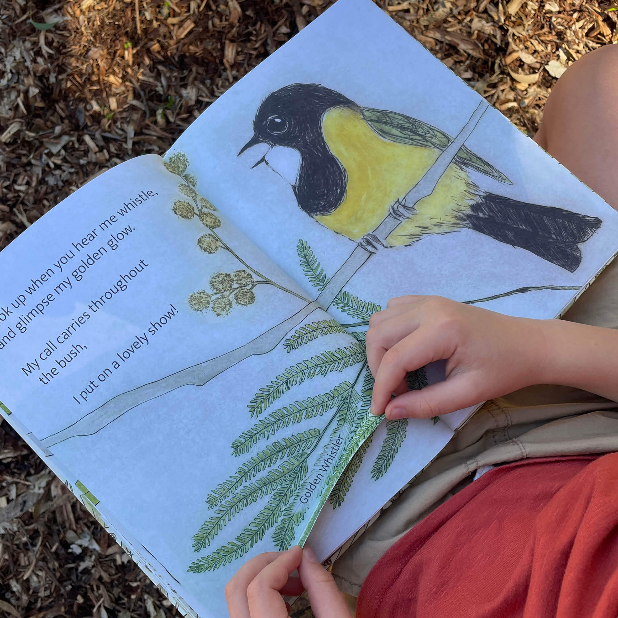 The Bush Birds Book + Card Game