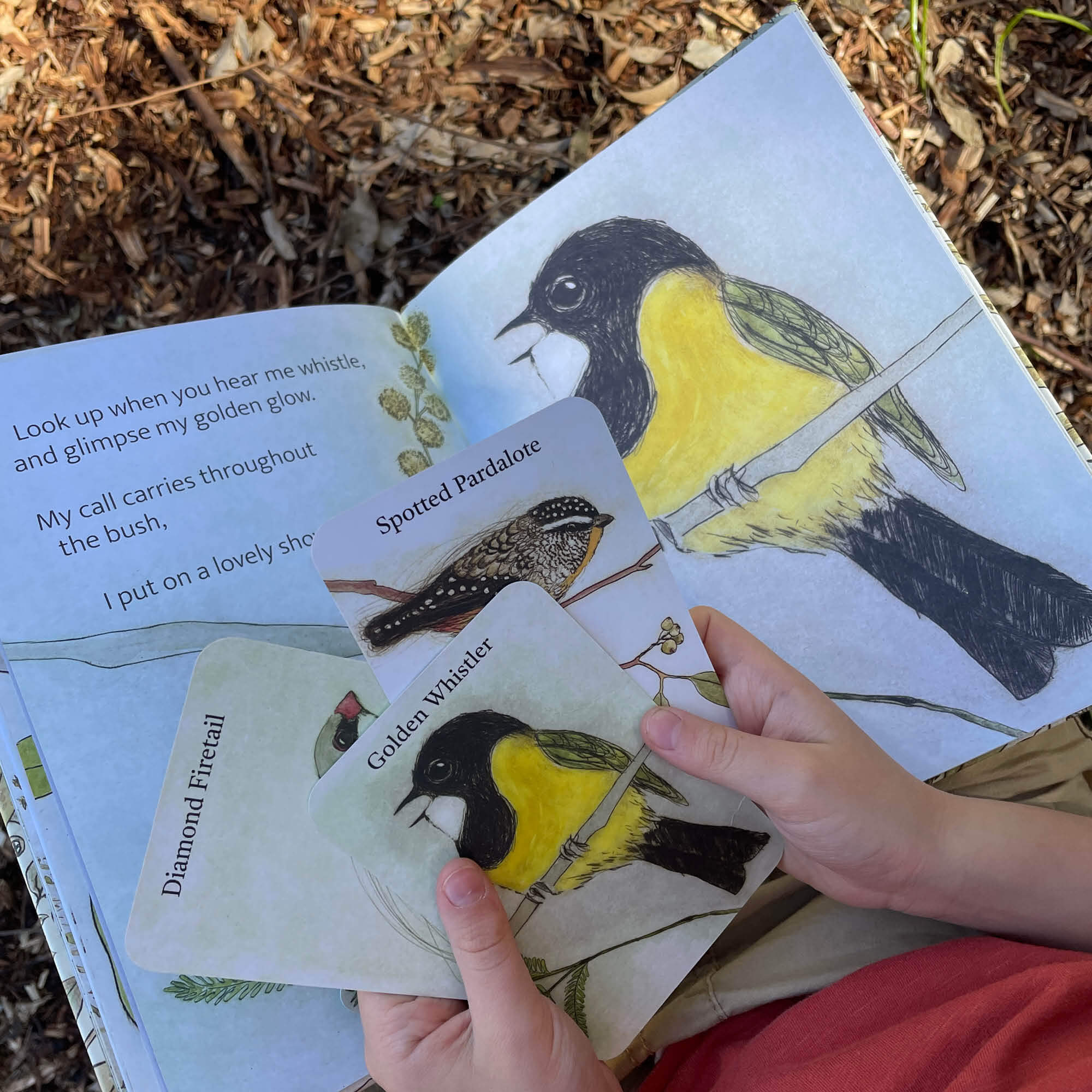 The Bush Birds Book + Card Game