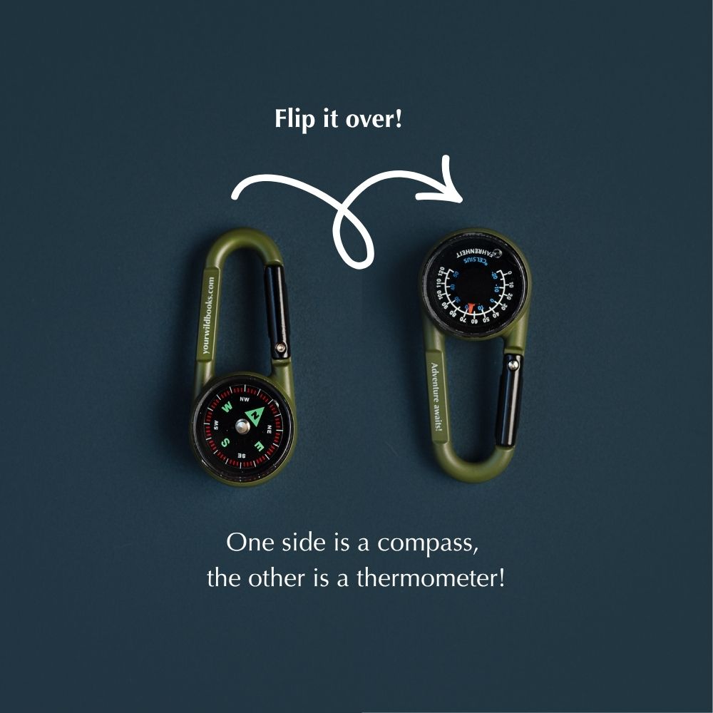 Adventure Compass - Pre-Order