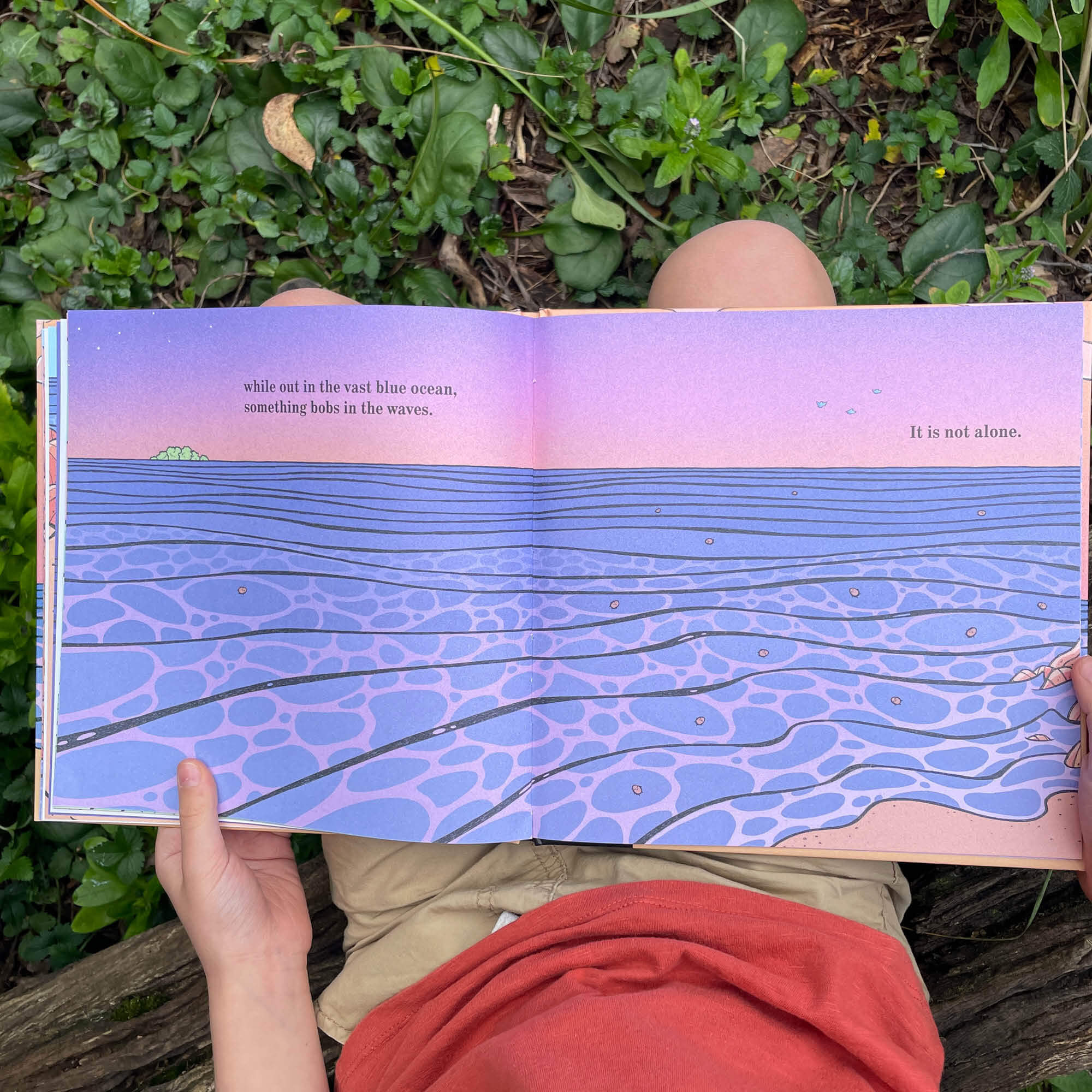 Egg Book