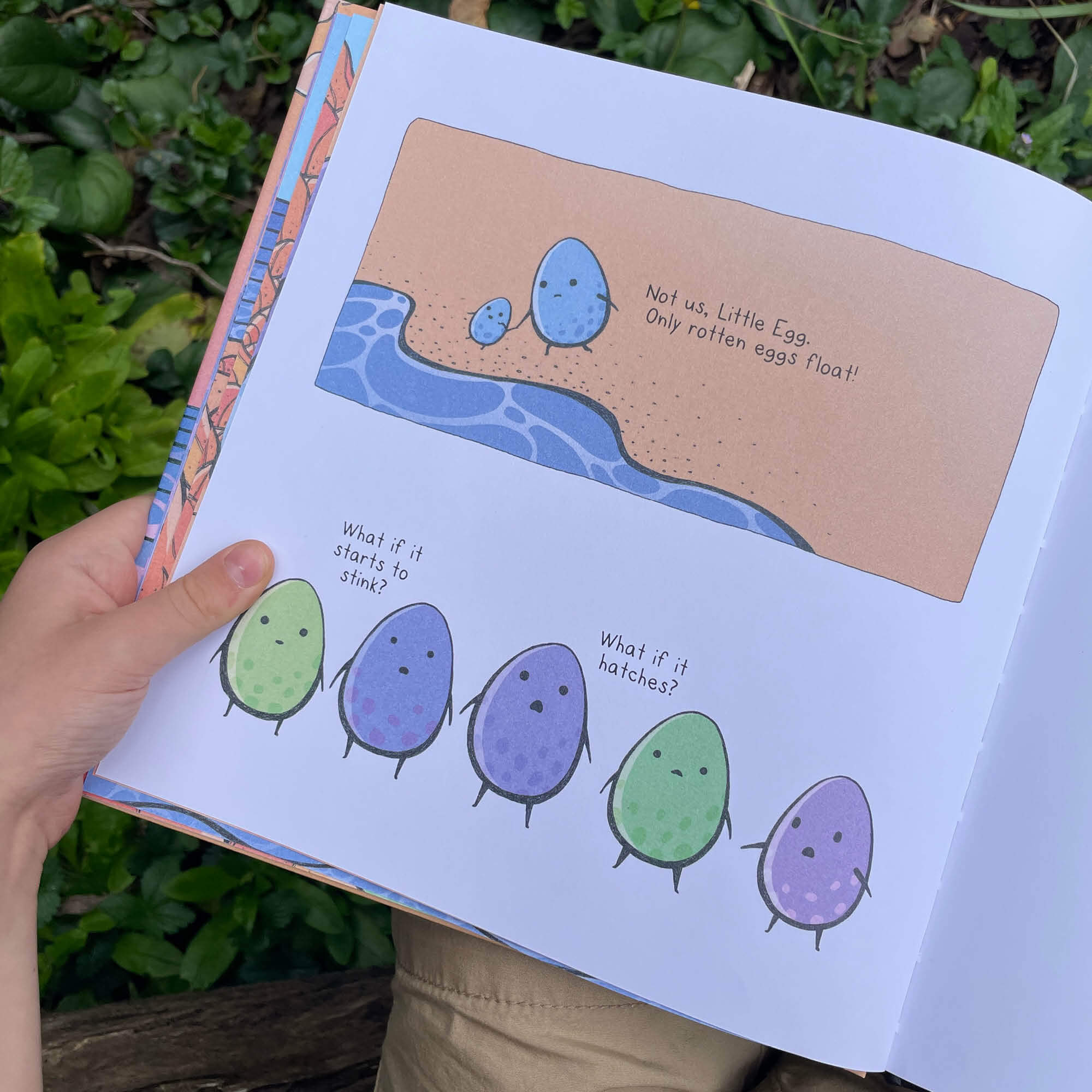 Egg Book