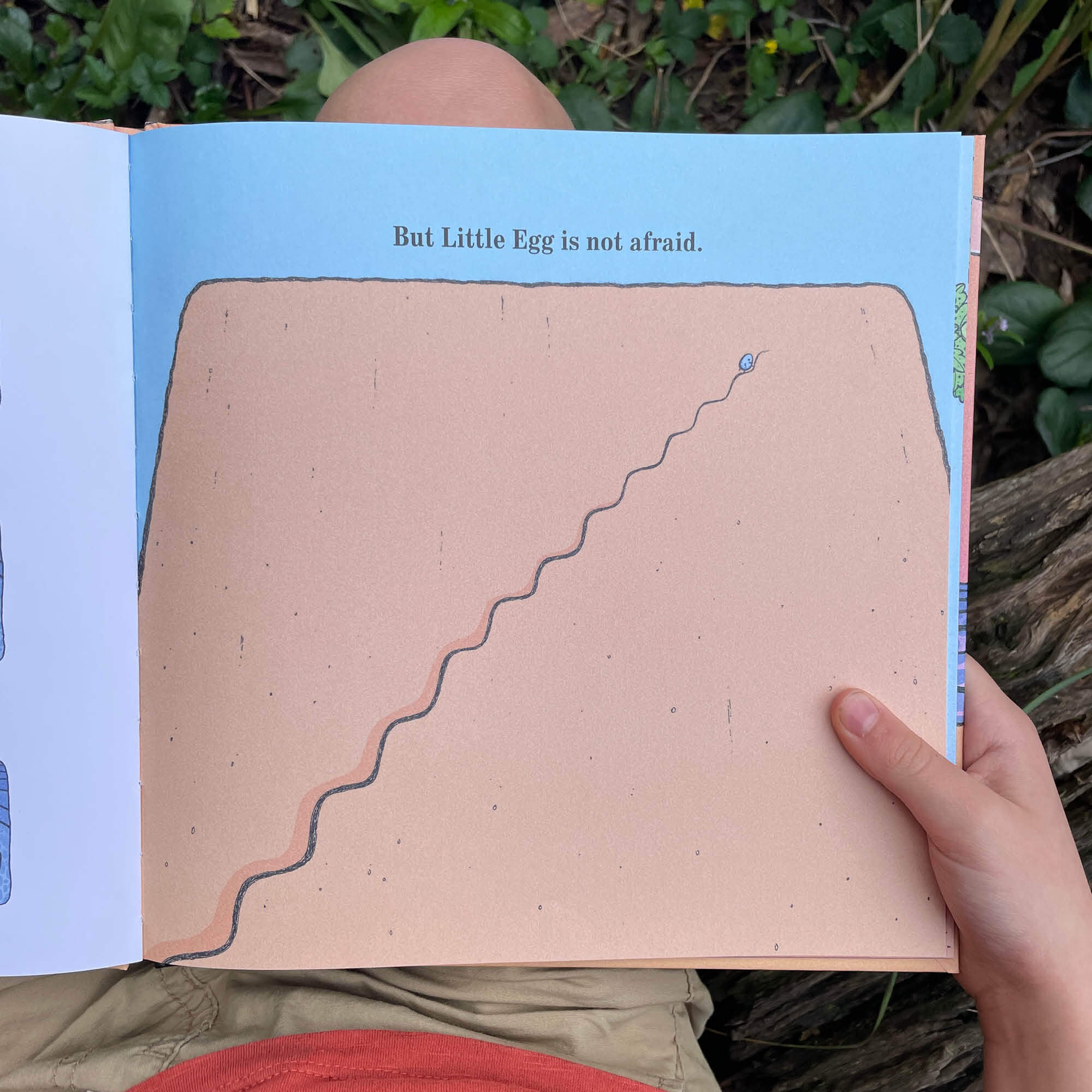 Egg Book