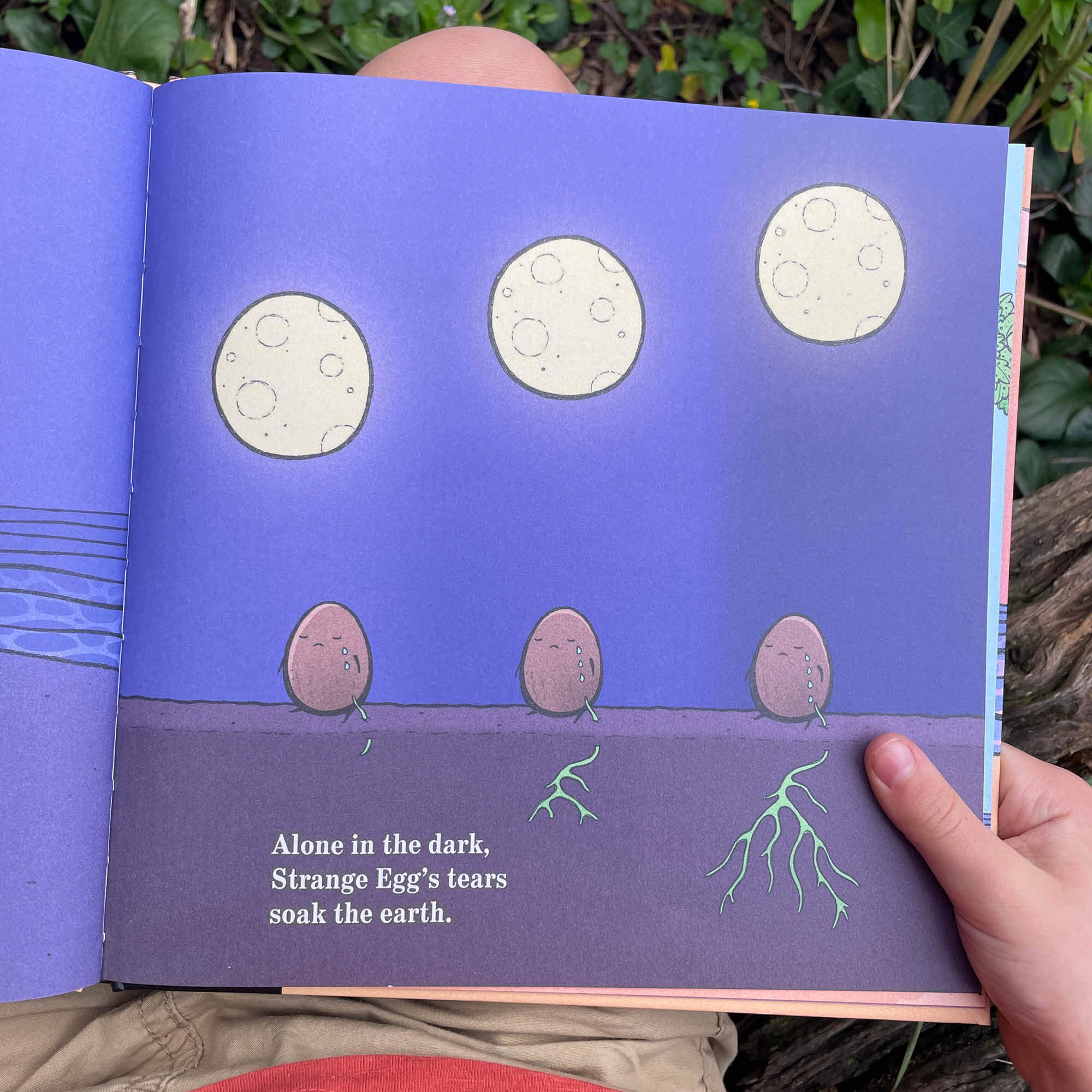 Egg Book