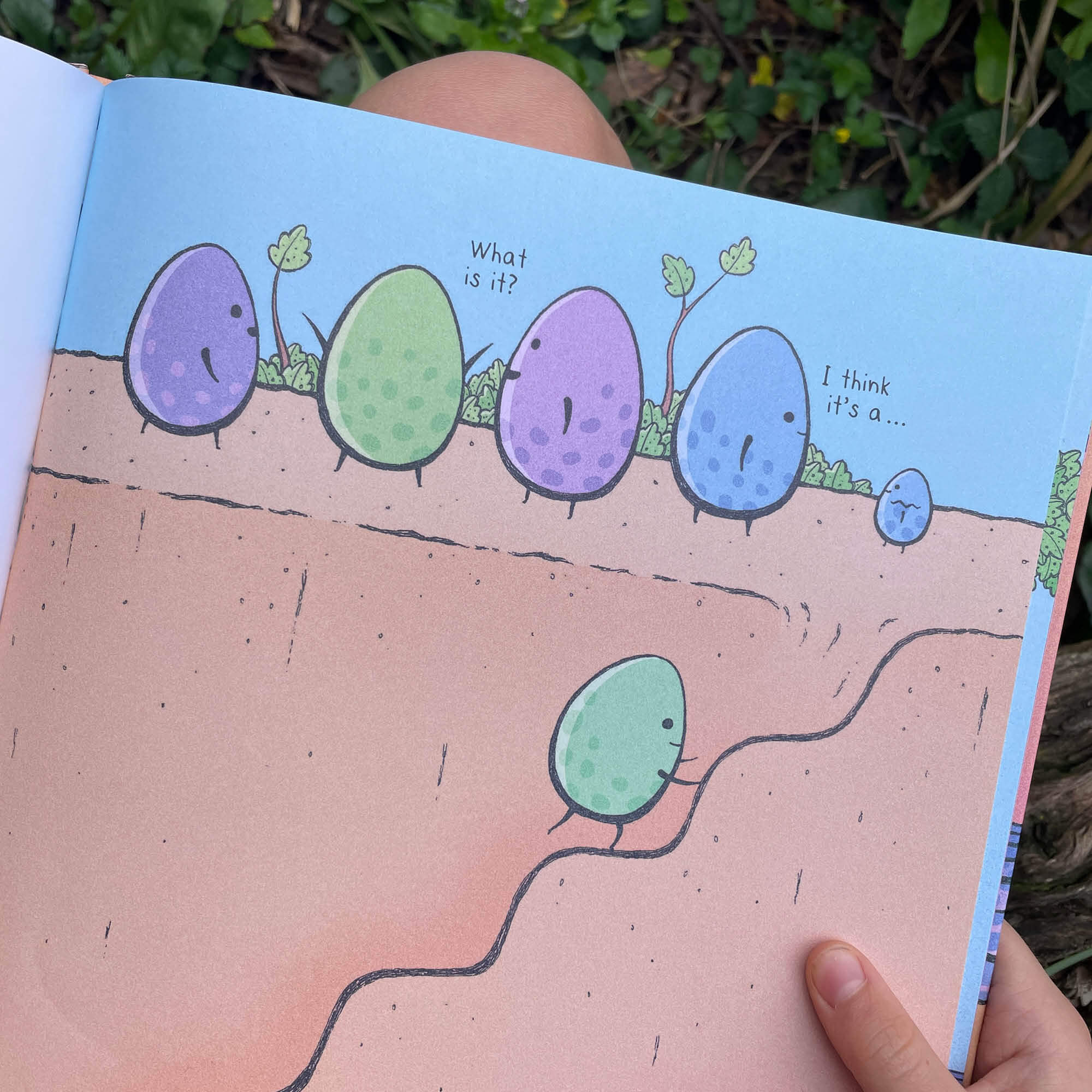 Egg Book