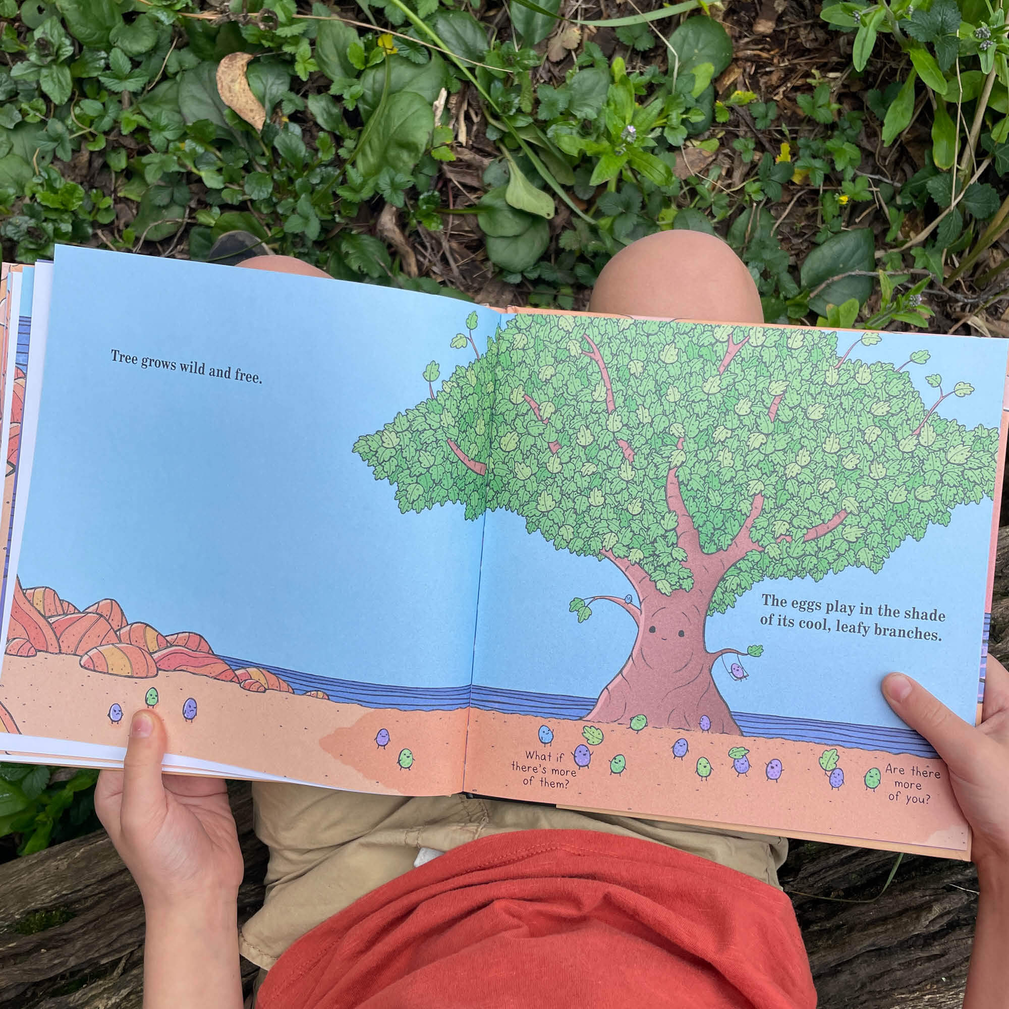 Egg Book