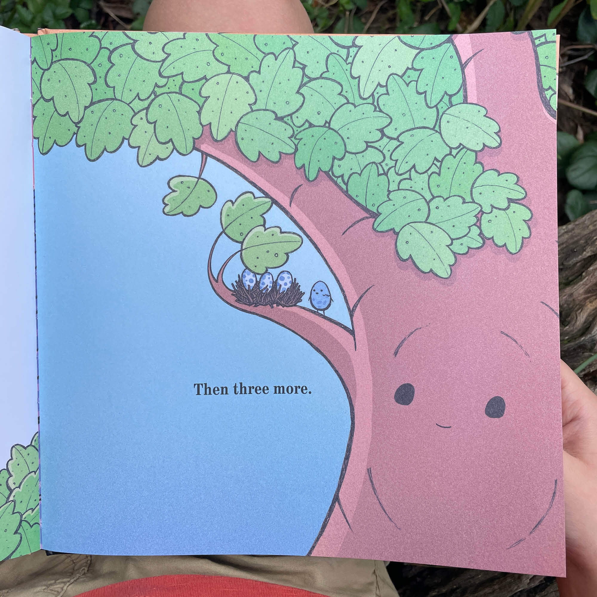 Egg Book