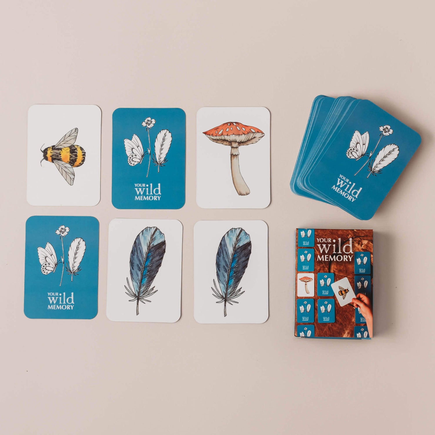 Your Wild Memory Card Game with nature inspired illustrations. Made in Australia by Your Wild Books.