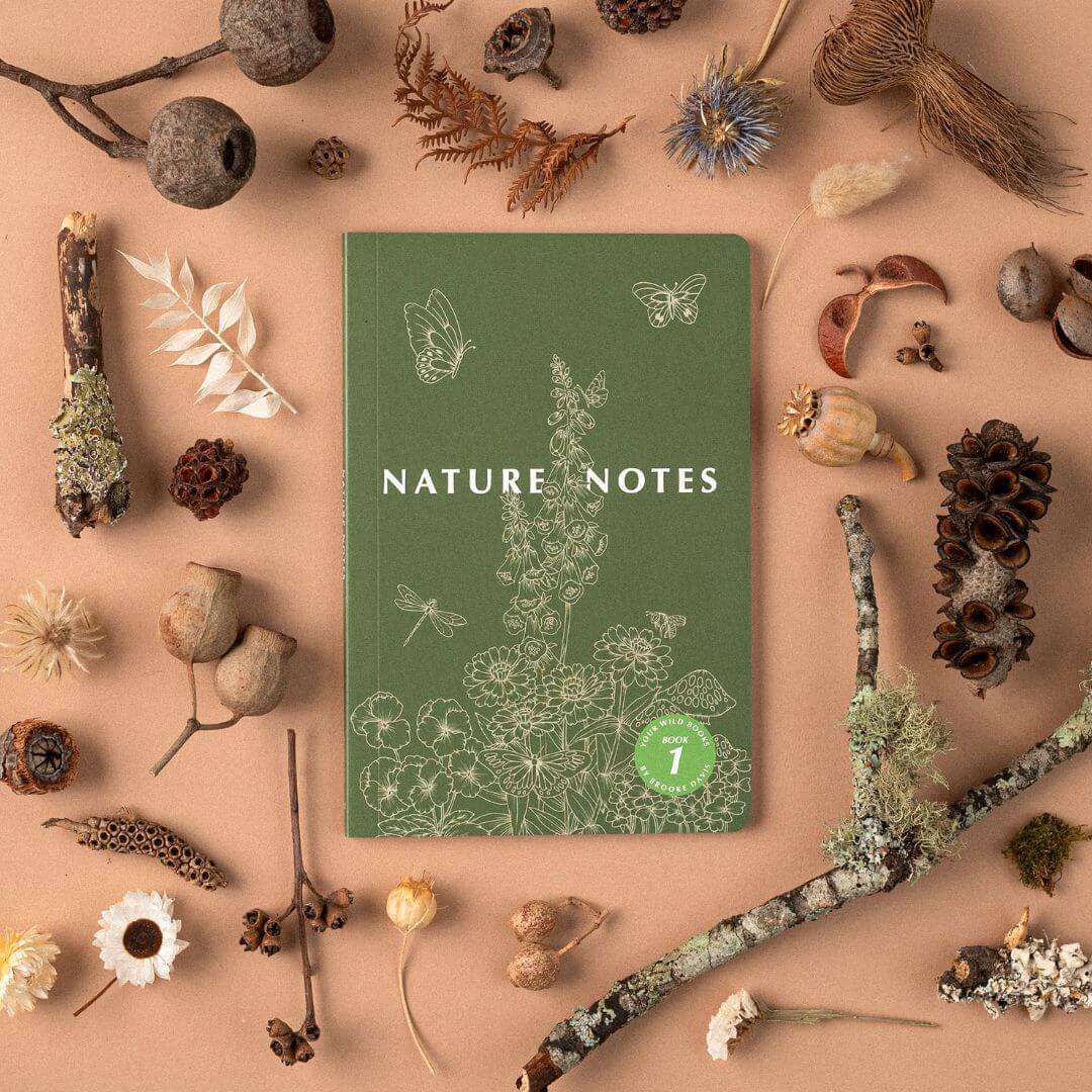 Nature Notes Bundle