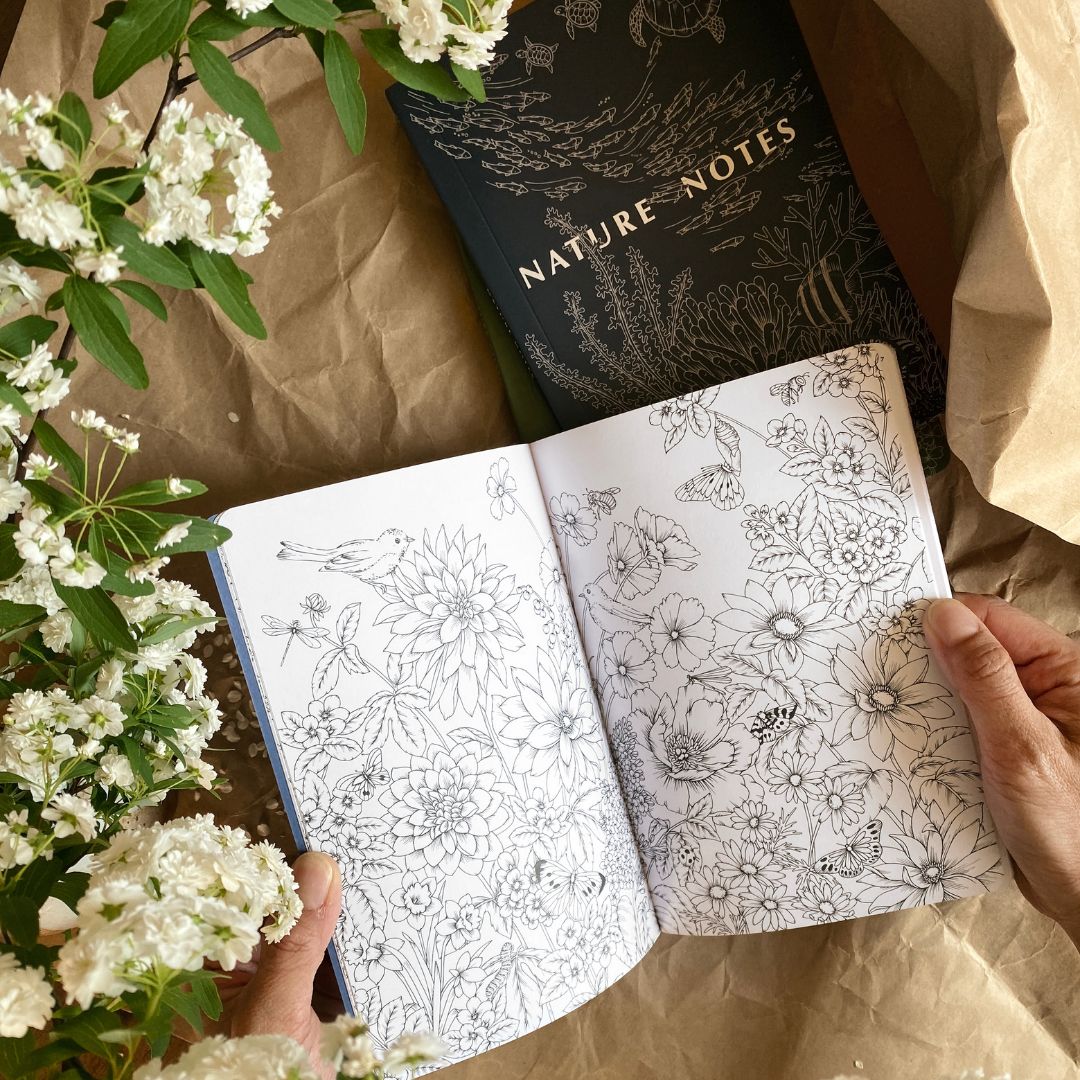 Nature Notes Bundle