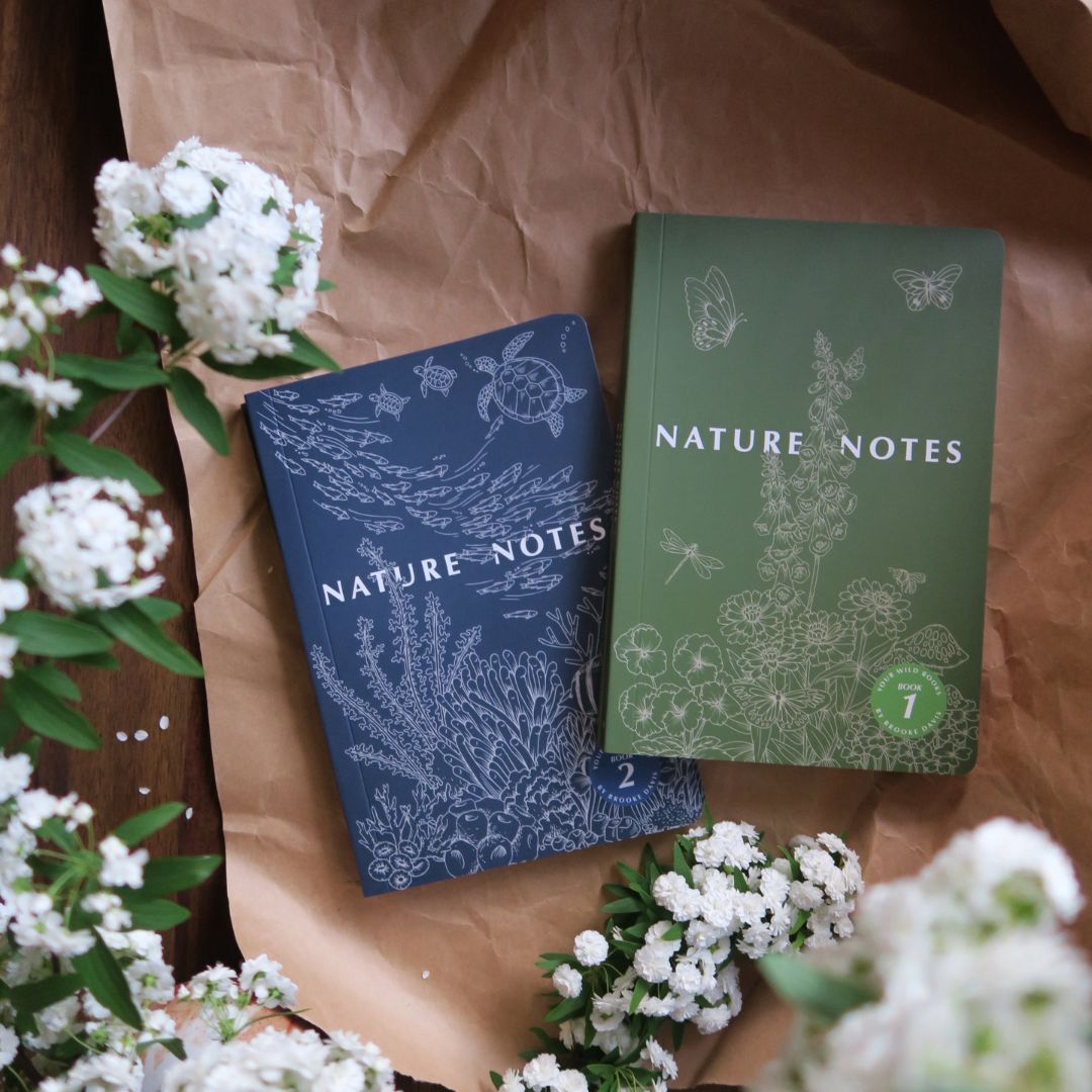 Nature Notes Bundle