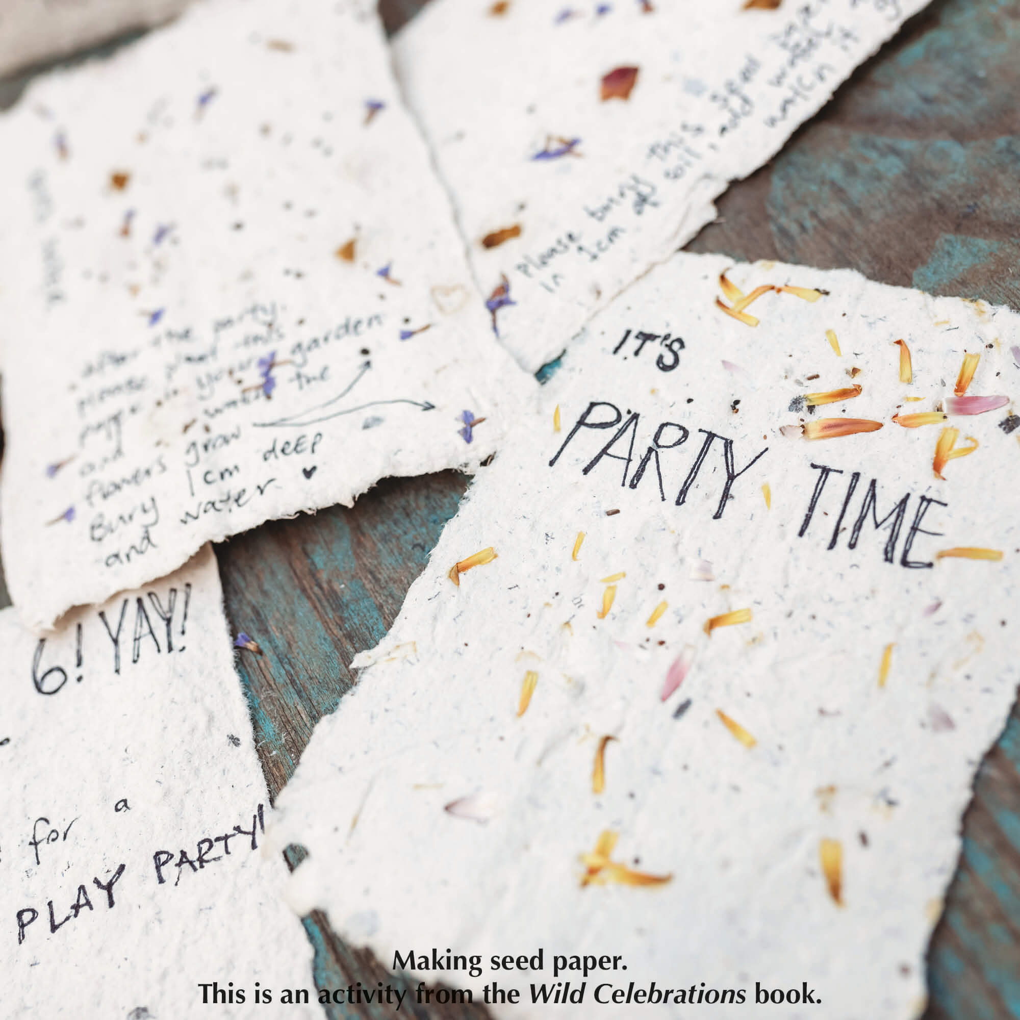 Making seed paper with Paper making kit. Make DIY paper at home. Plastic free kit made in Australia by Poppy and Daisy. From Your Wild Books
