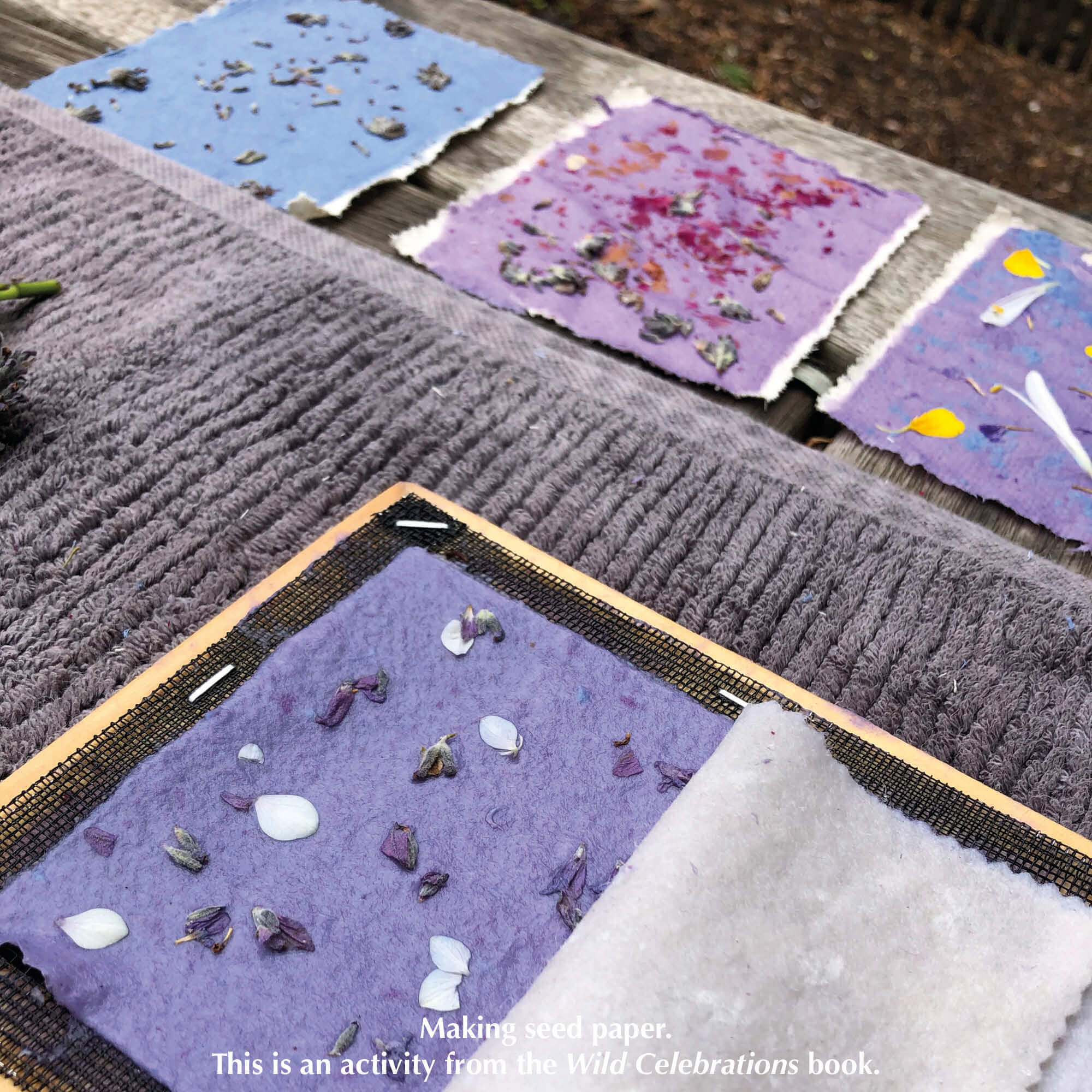 Making seed paper with Paper making kit. Make DIY paper at home. Plastic free kit made in Australia by Poppy and Daisy. From Your Wild Books