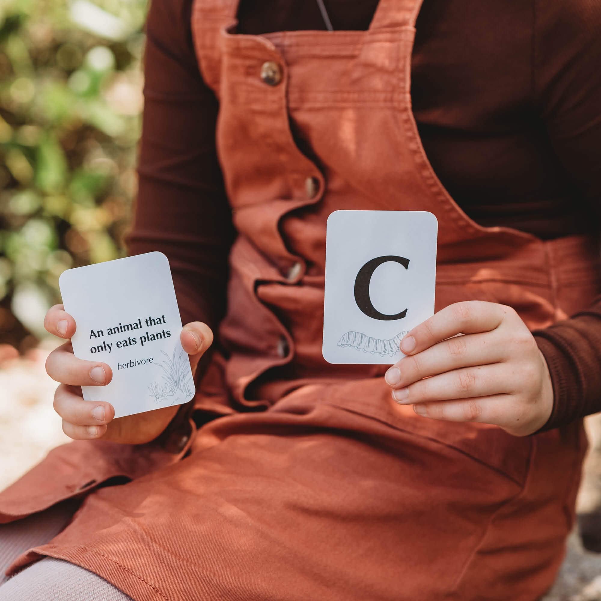 Child playing a nature inspired card game, Your Wild Quiz. Made in Australia by Your Wild Books.