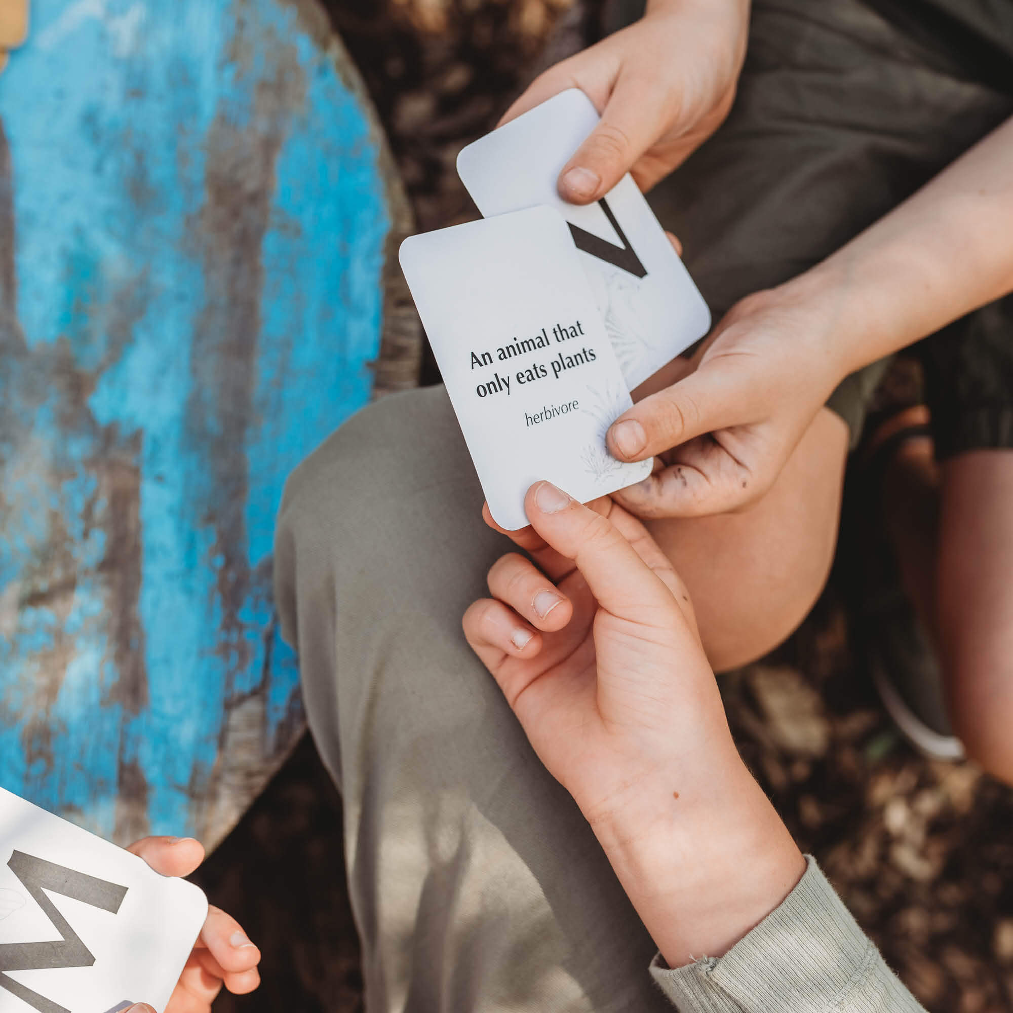 Children playing a nature inspired card game, Your Wild Quiz. Made in Australia by Your Wild Books.