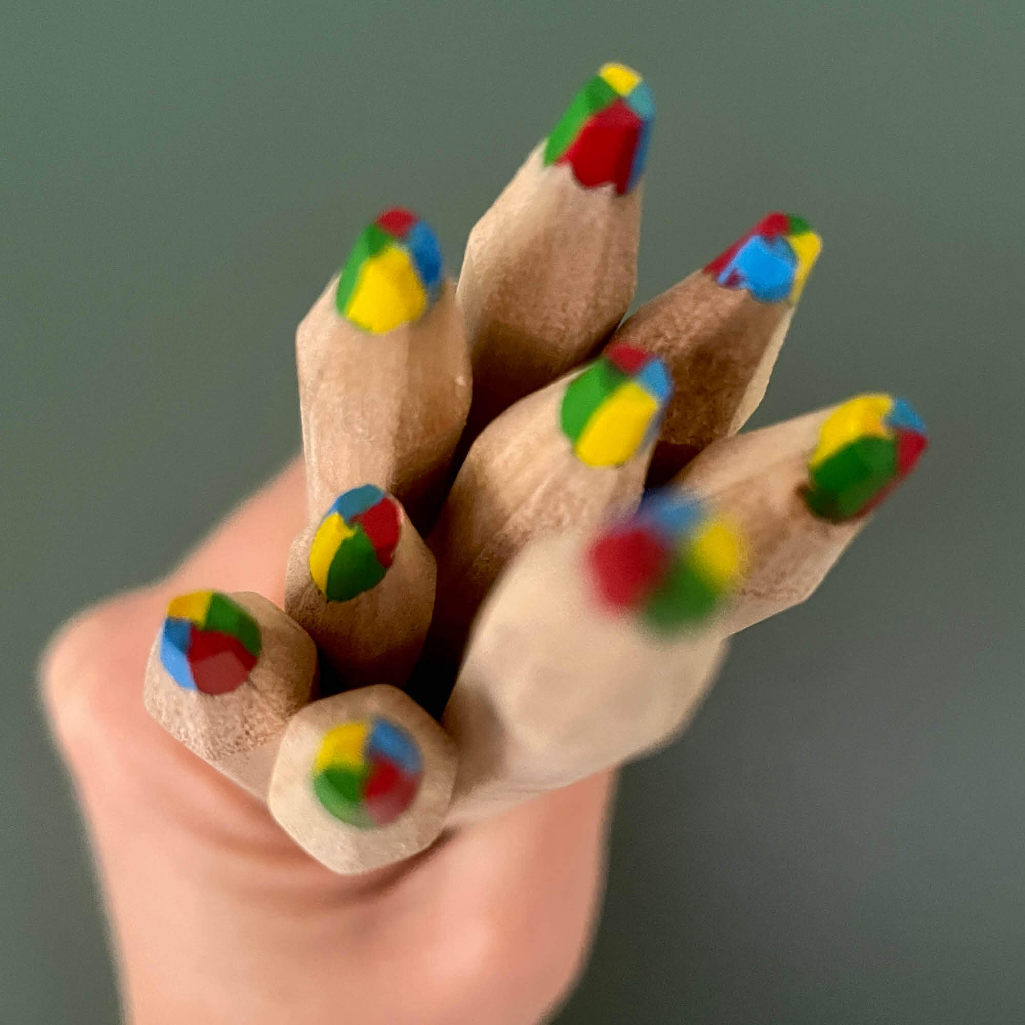 4 colour rainbow pencil with thick FSC certified timber casing for easy grip. Engraved with quote - Chase rainbows. Be kind. Stay wild. And the Your Wild Books logo.