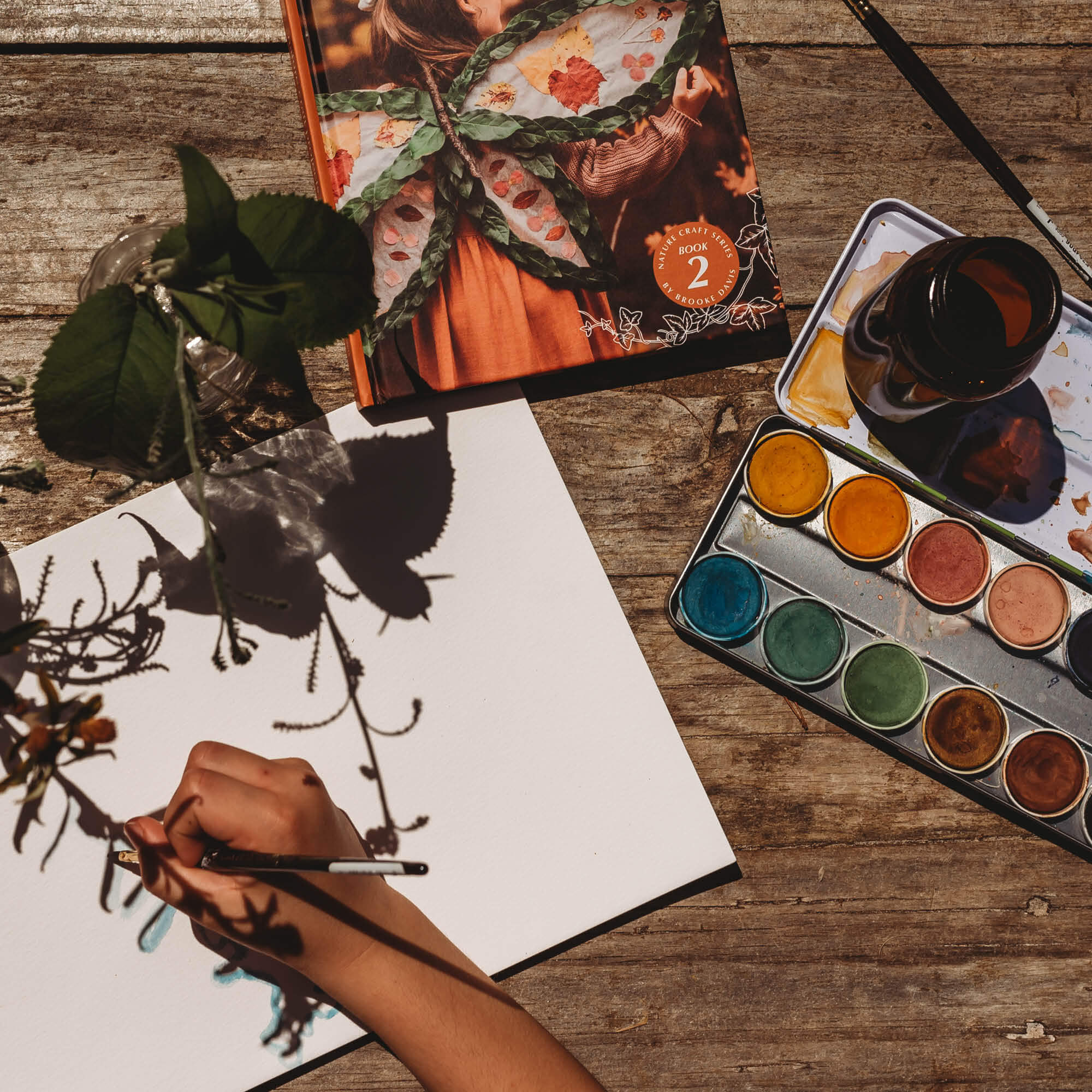 Shadow art nature craft activity painted with all natural, chemical free, plastic free, watercolour paint from Okonorm brand from Your Wild Books