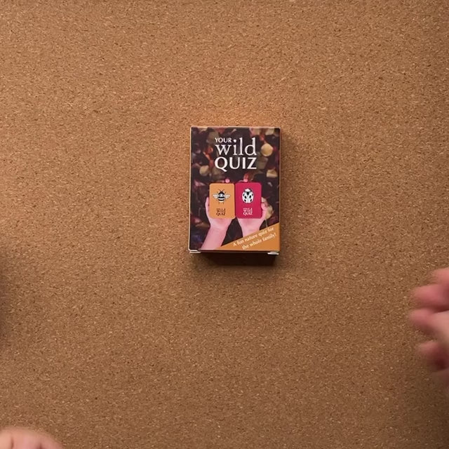 Nature inspired card game, Your Wild Quiz. Made in Australia by Your Wild Books.