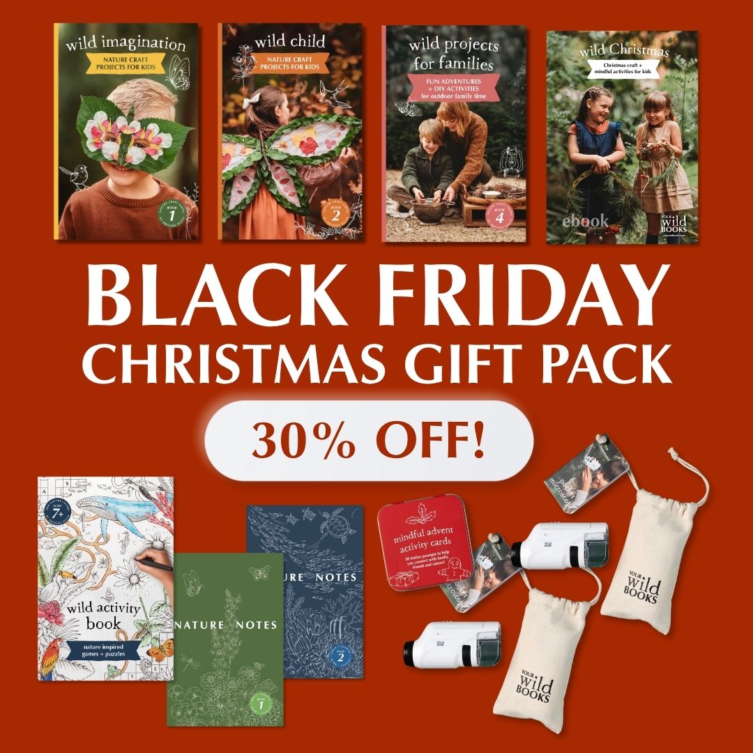 Black Friday Christmas Gift Pack