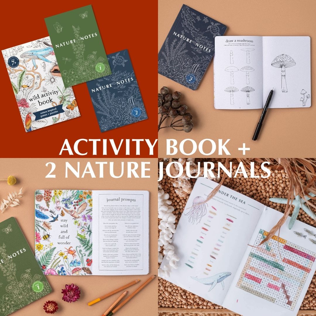 Black Friday Christmas Gift Pack