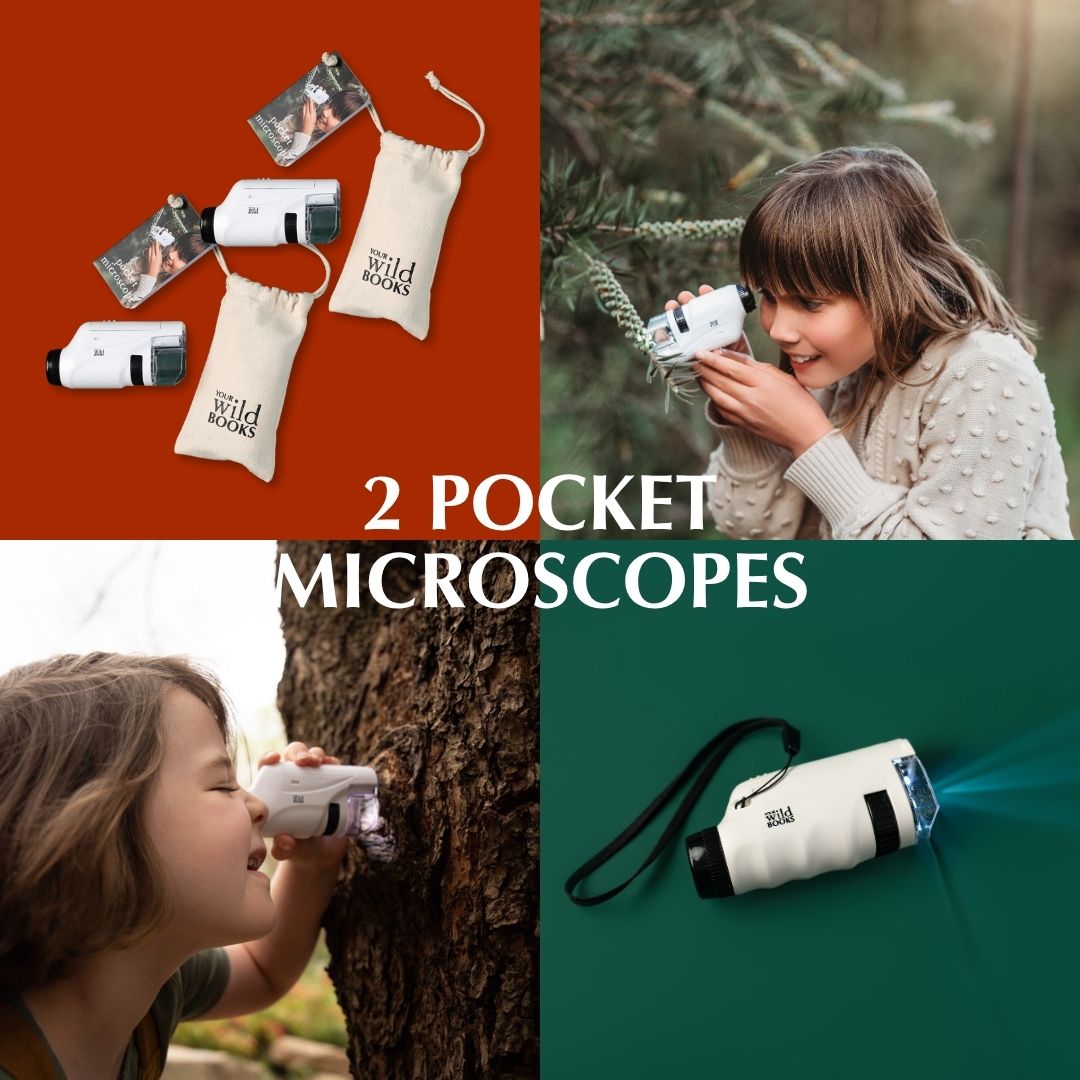 Black Friday Christmas Gift Pack