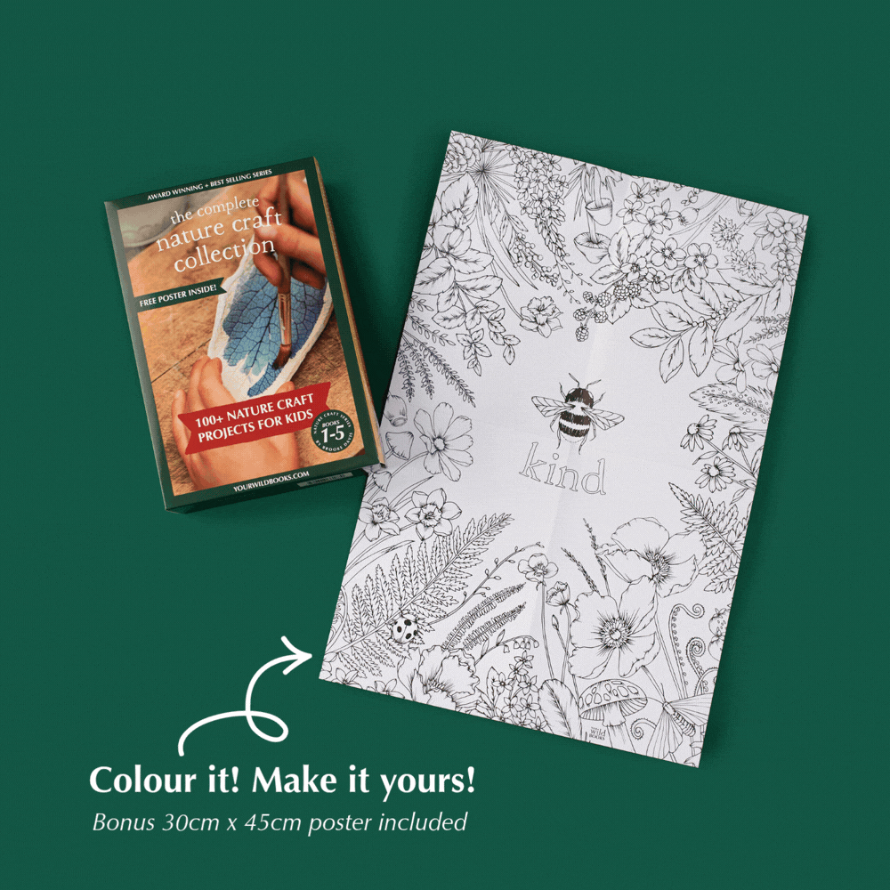 The Complete Nature Craft Collection - 5 Books