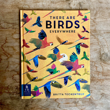 There are Birds Everywhere Book