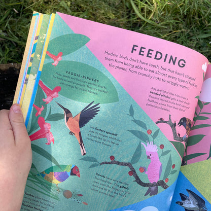 There are Birds Everywhere Book