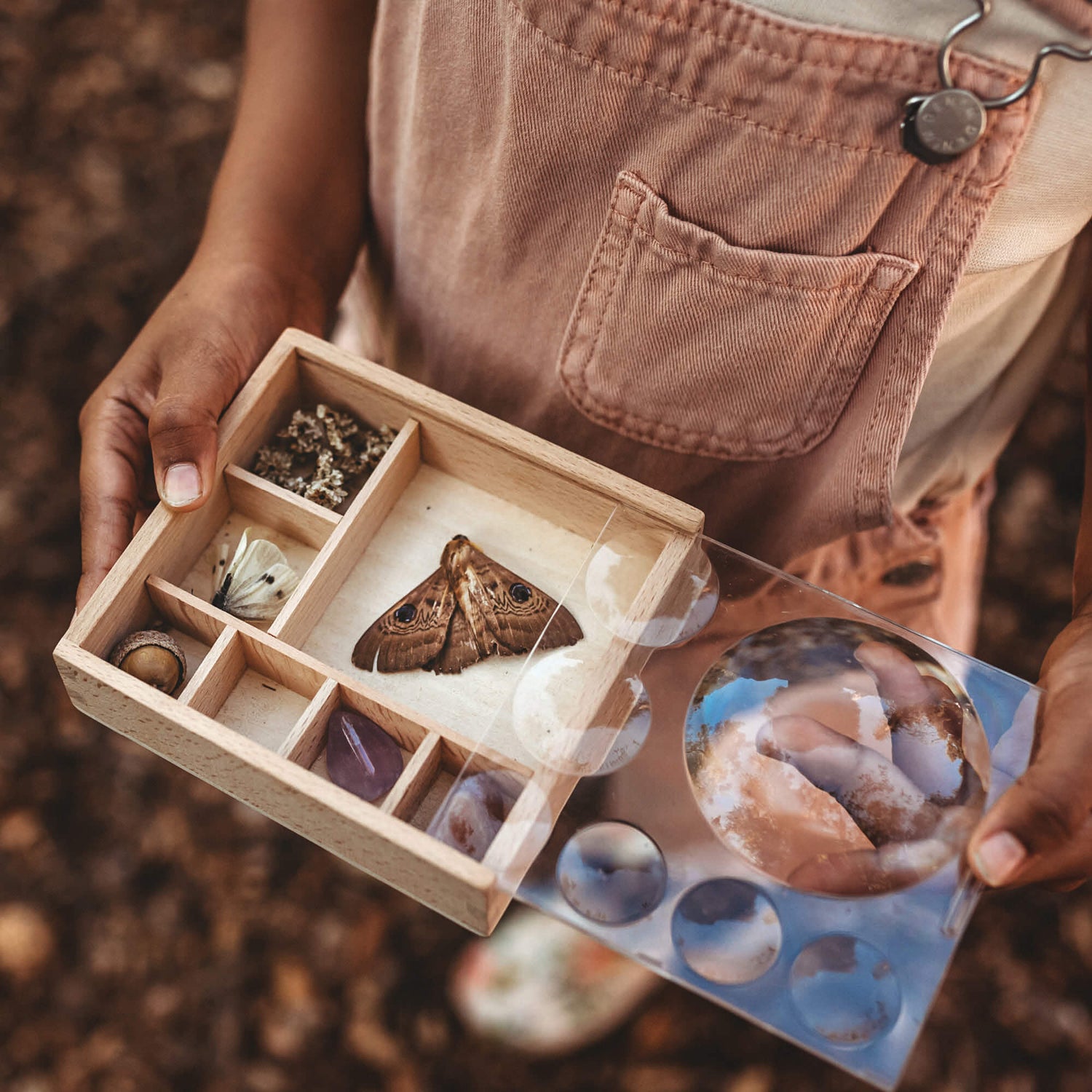 Girl holding Wooden bug box make by Kikkerland from Your Wild Books. Moth, flowers, acorn and crystal inside the wooden compartments with magnifying lenses.