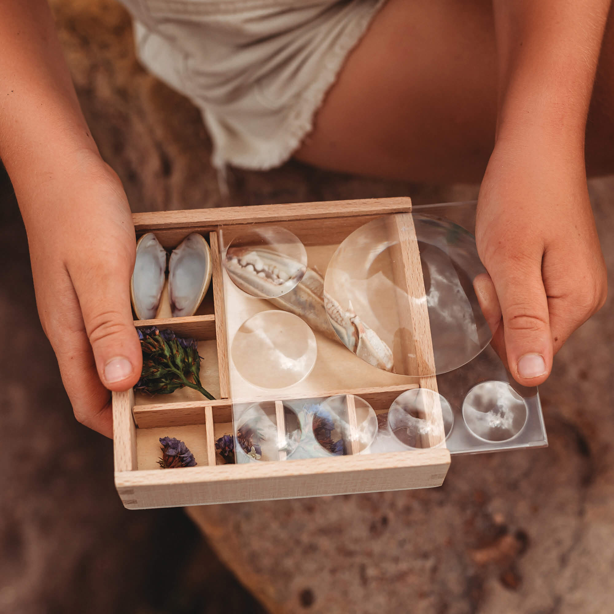 Girl placing nature inside Wooden bug box made by Kikkerland from Your Wild Books. Crab claw, flowers, and shells inside the wooden compartments with magnifying lenses.