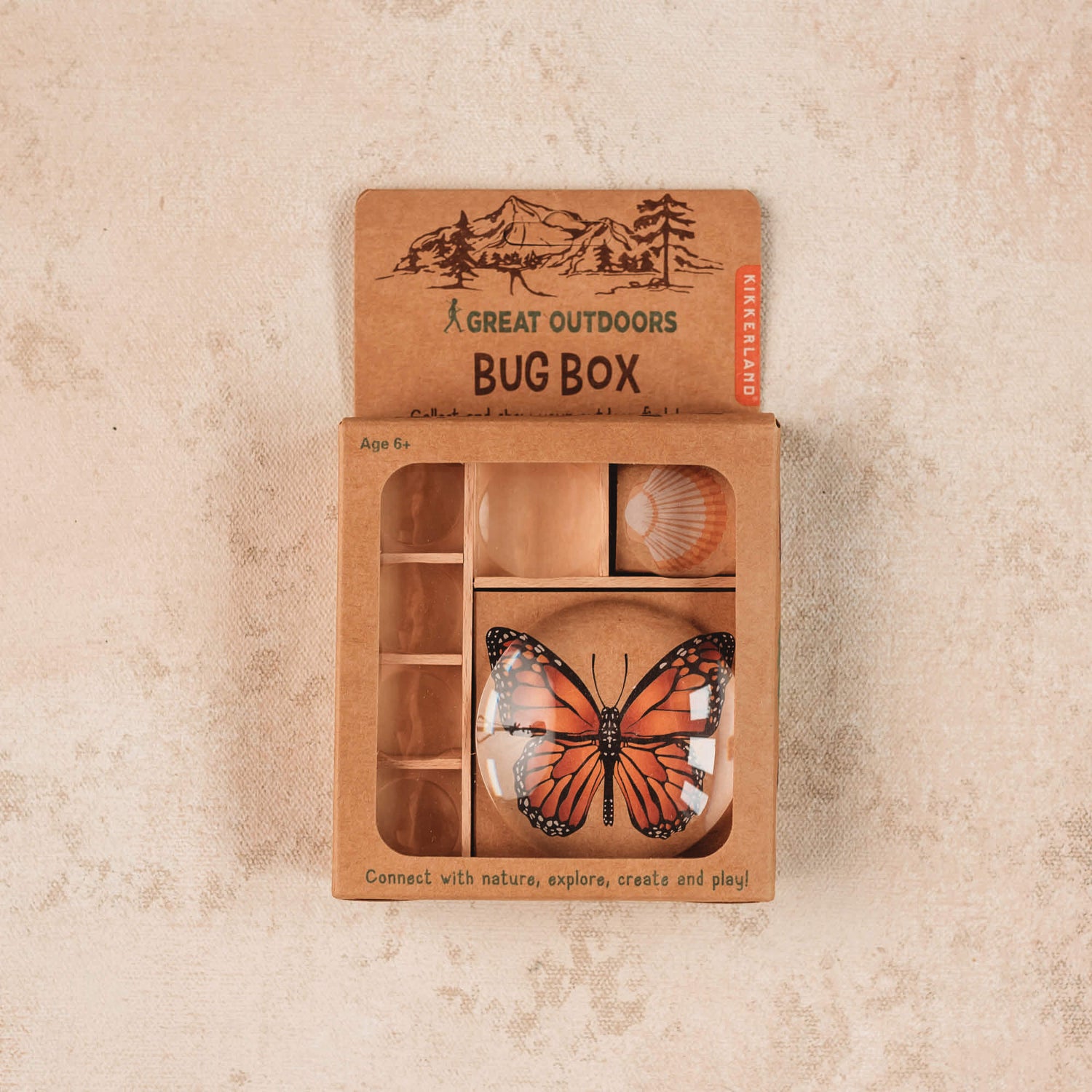 Wooden bug box made by Kikkerland from Your Wild Books.
