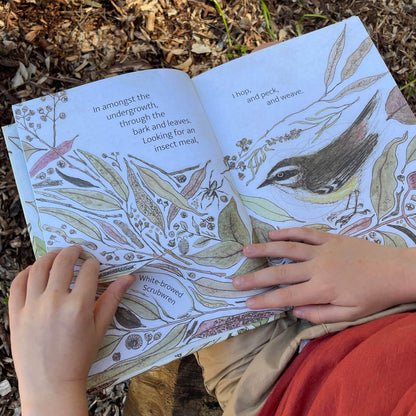The Bush Birds Book + Card Game