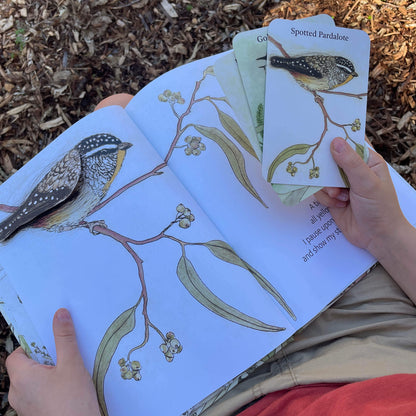 The Bush Birds Book + Card Game