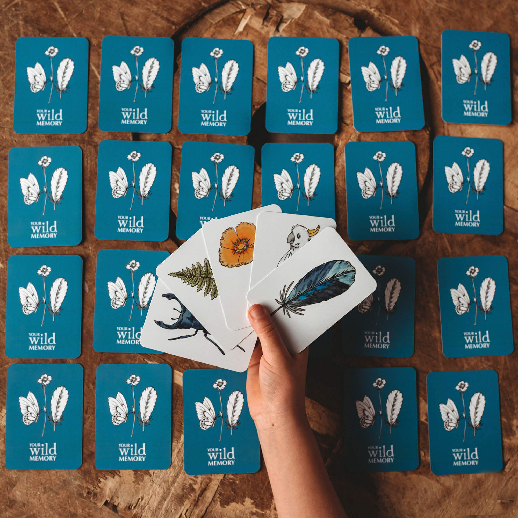 Child holding cards from Your Wild Memory Card Game with nature inspired illustrations. Made in Australia by Your Wild Books.