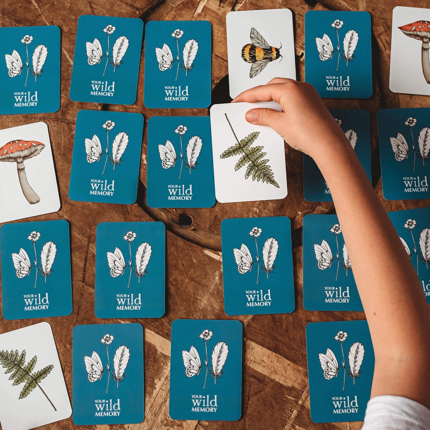 Child playing Your Wild Memory Card Game with nature inspired illustrations. Made in Australia by Your Wild Books.