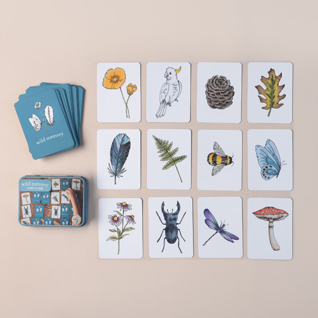 Wild Memory card game