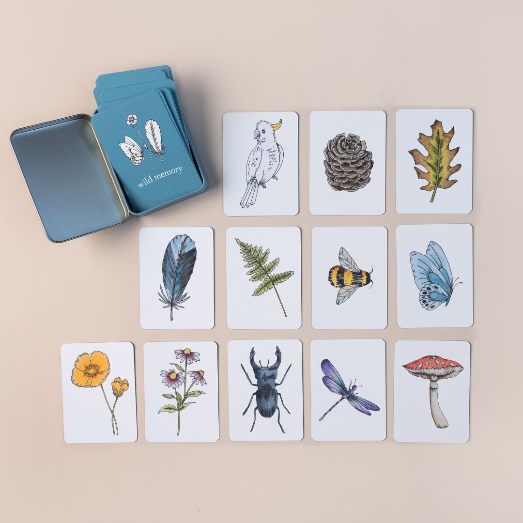 Wild Memory card game