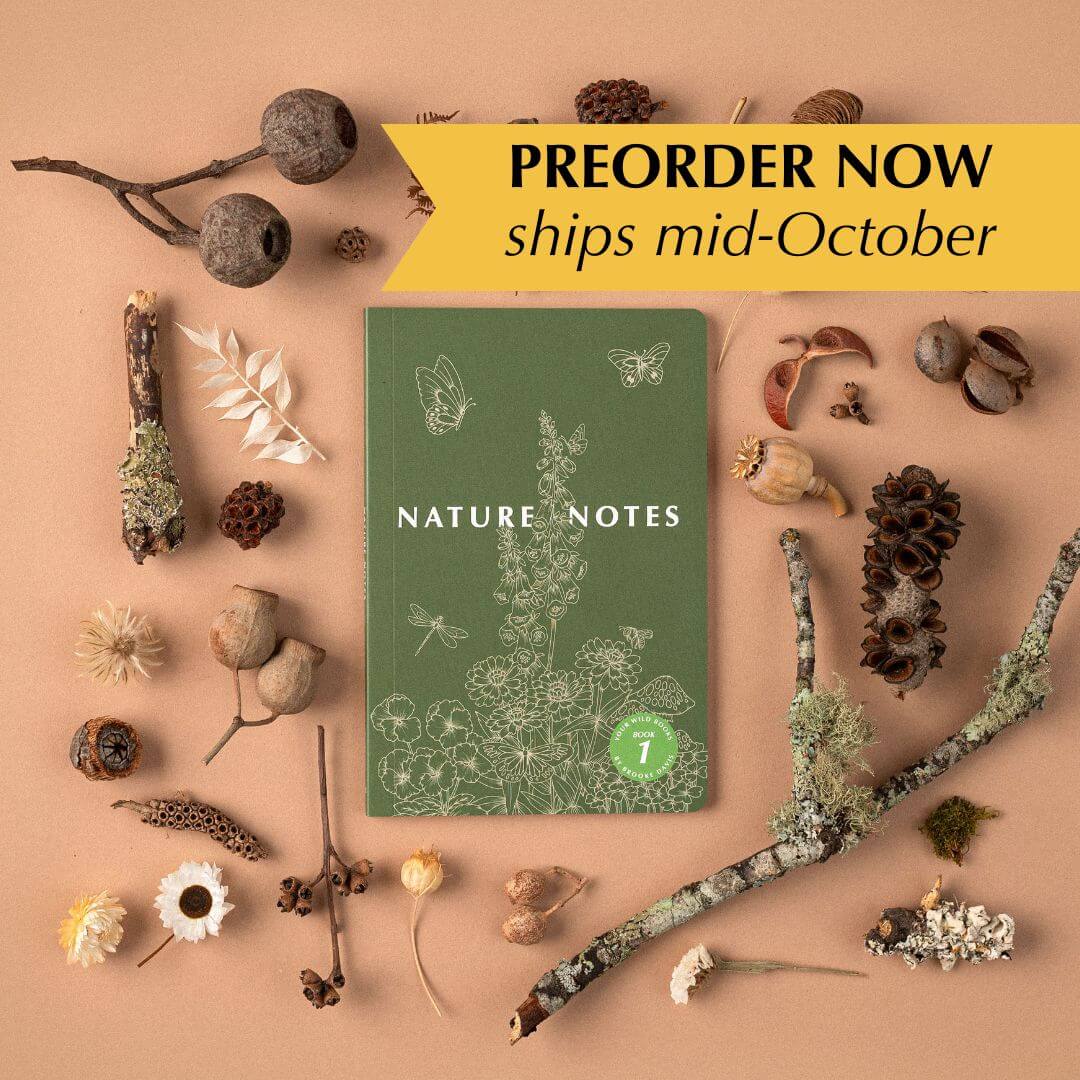 Nature Notes 1