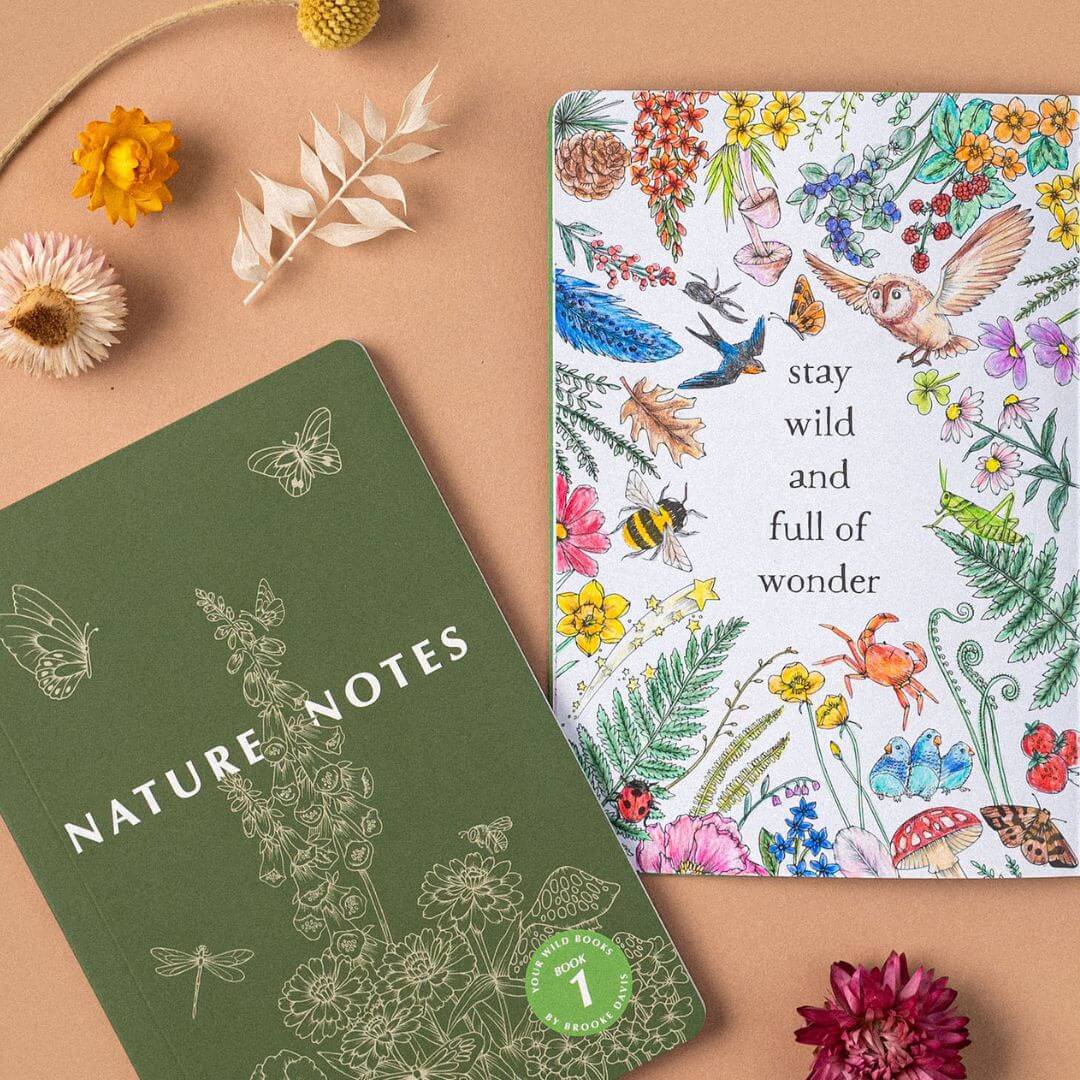 Nature Notes Bundle