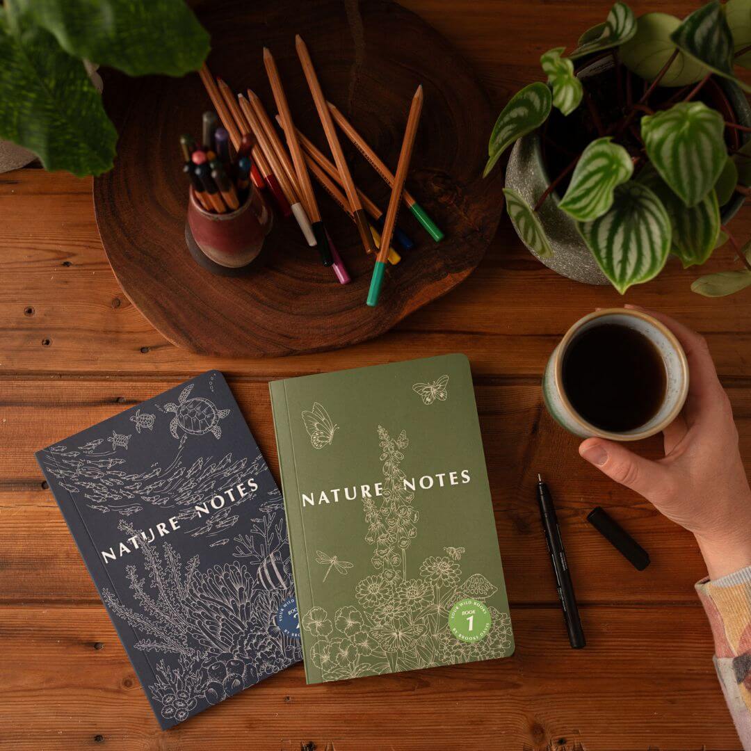 Nature Notes Bundle