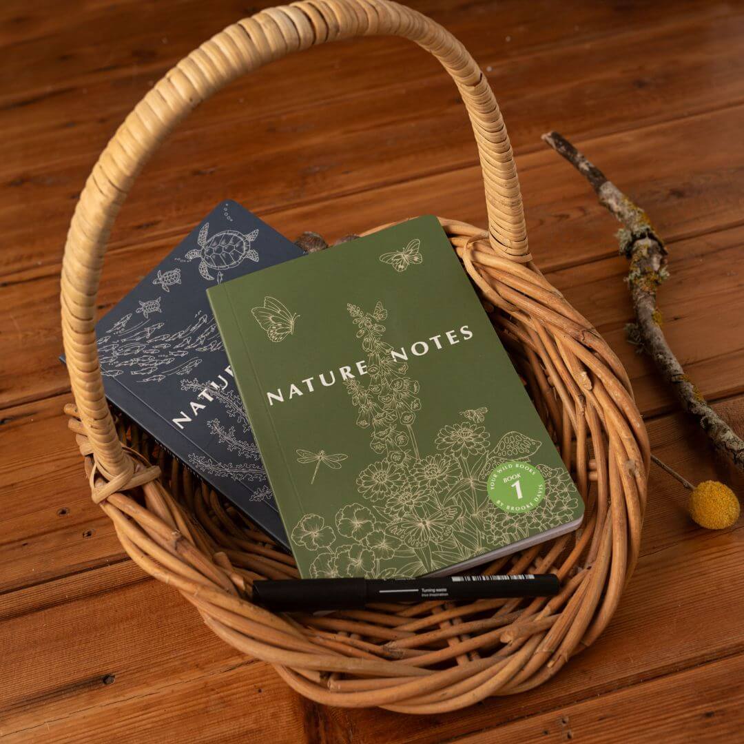 Nature Notes Bundle
