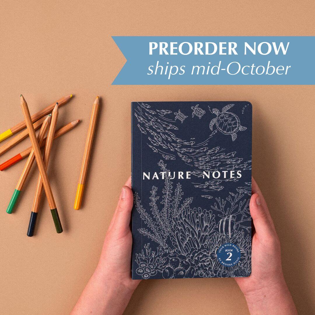 Nature Notes 2