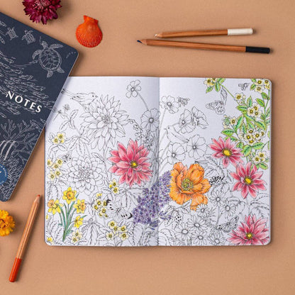 Nature Notes Bundle
