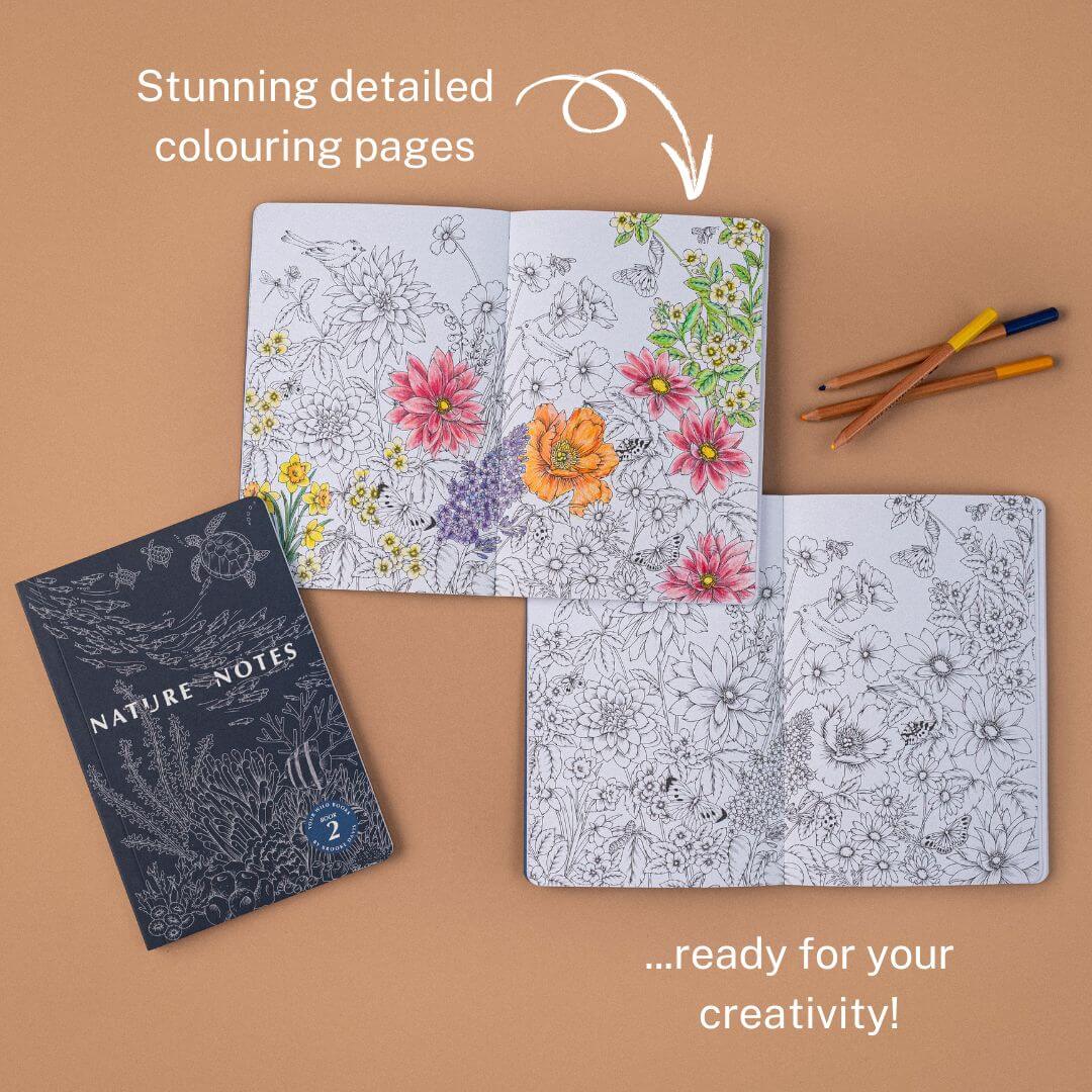 Nature Notes Bundle